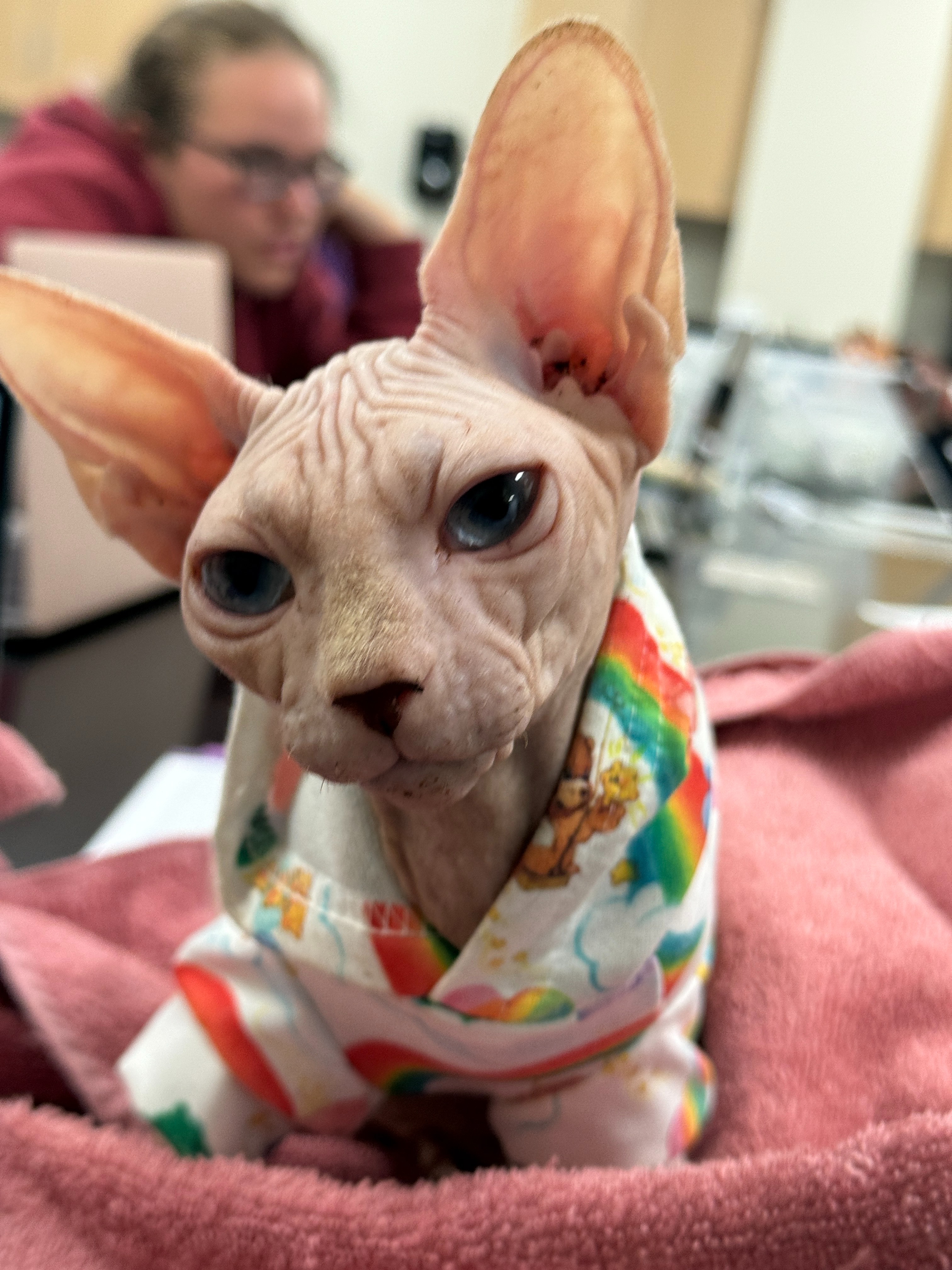 Help Ghoul (“Murmur”) Get the Chance He Deserves campaign photo, 6 of 8