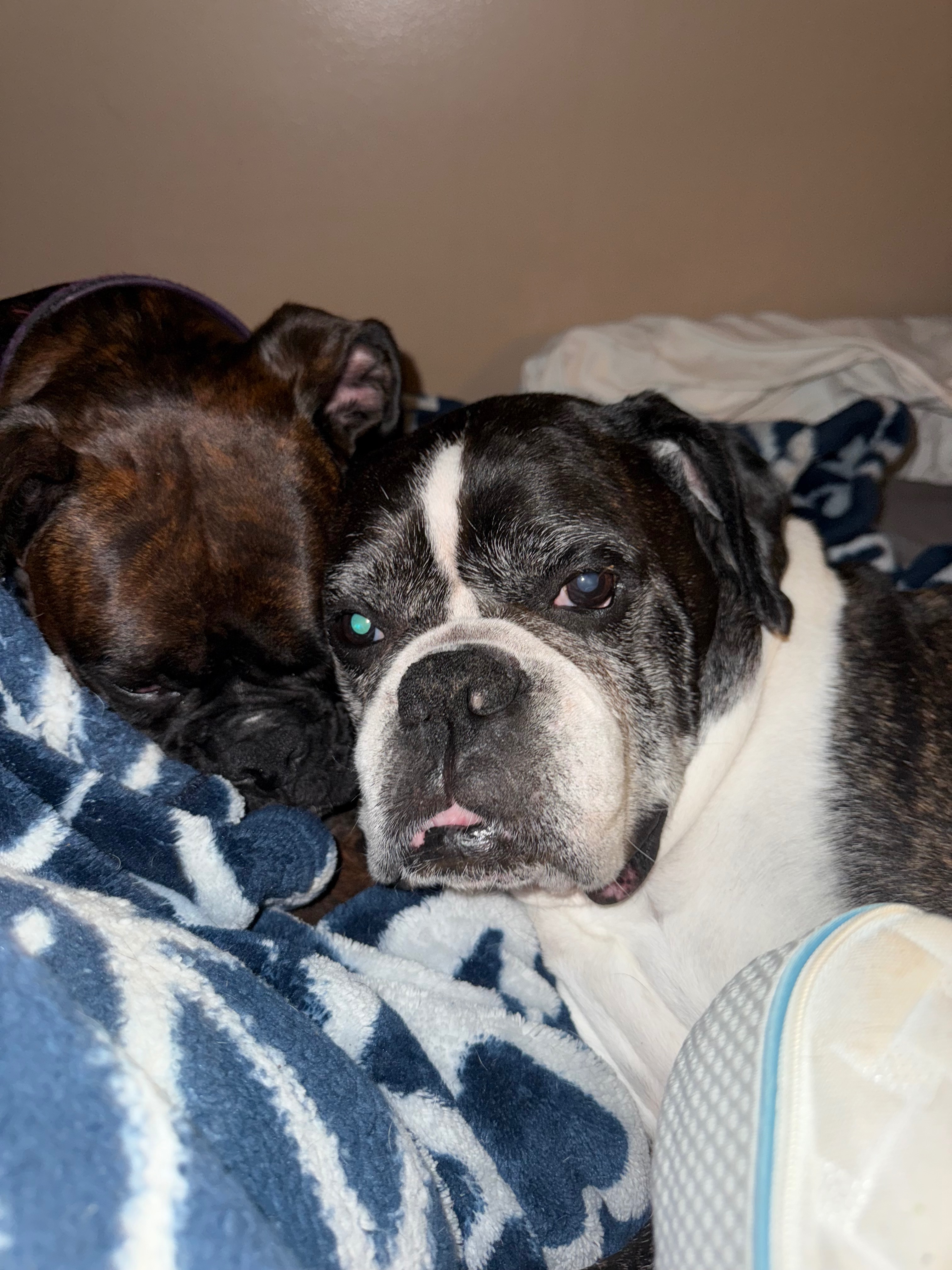 Help Junior Get Lifesaving Surgery campaign photo, 7 of 8