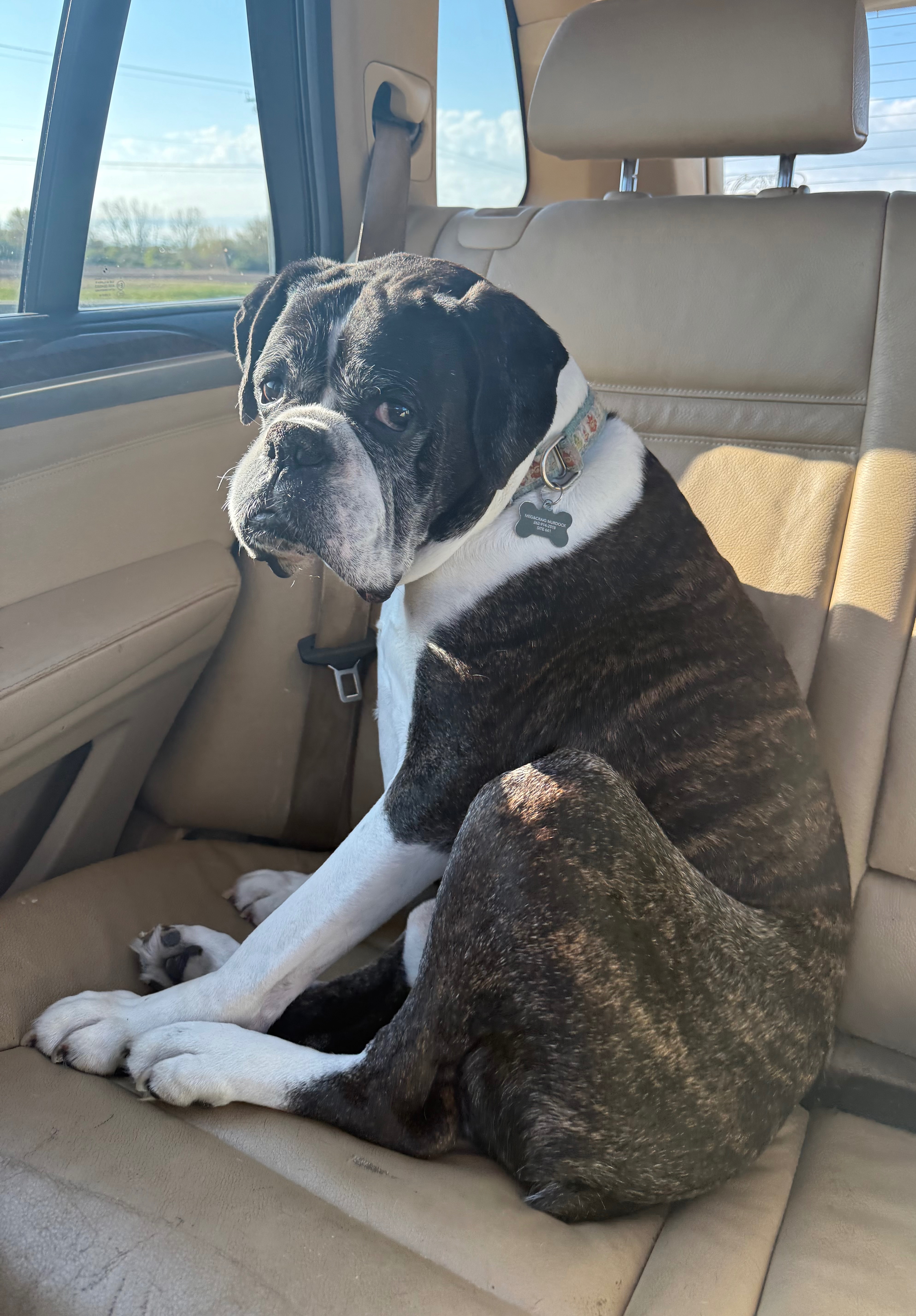 Help Junior Get Lifesaving Surgery campaign photo, 5 of 8