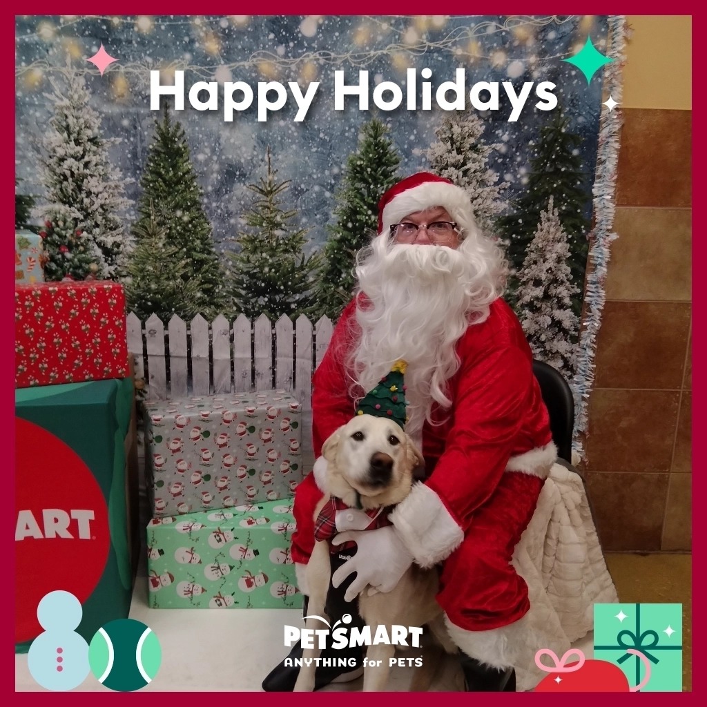 Caring for God’s Good Dog, Astro campaign photo, 2 of 6
