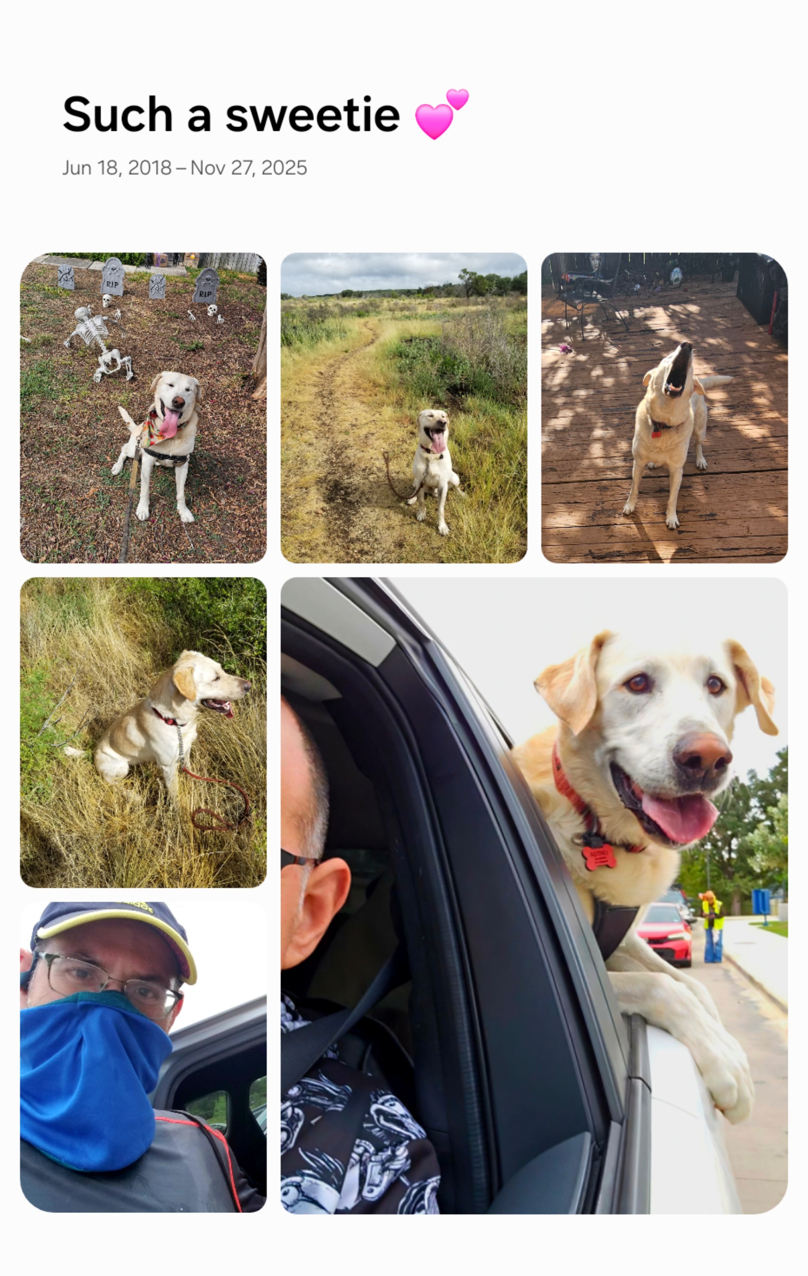 Caring for God’s Good Dog, Astro campaign photo, 4 of 6