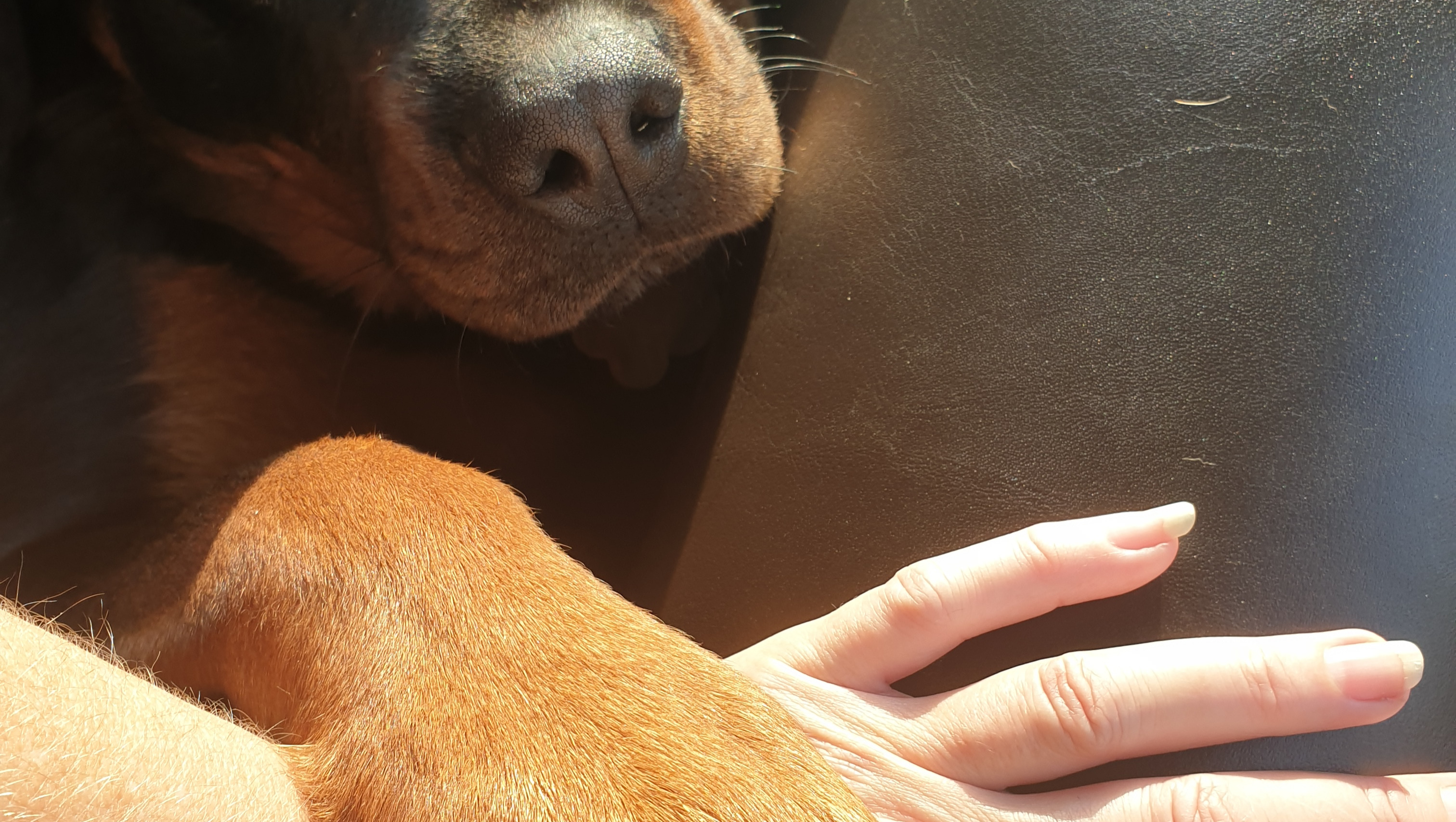 ein Zuhause für Außenseiter