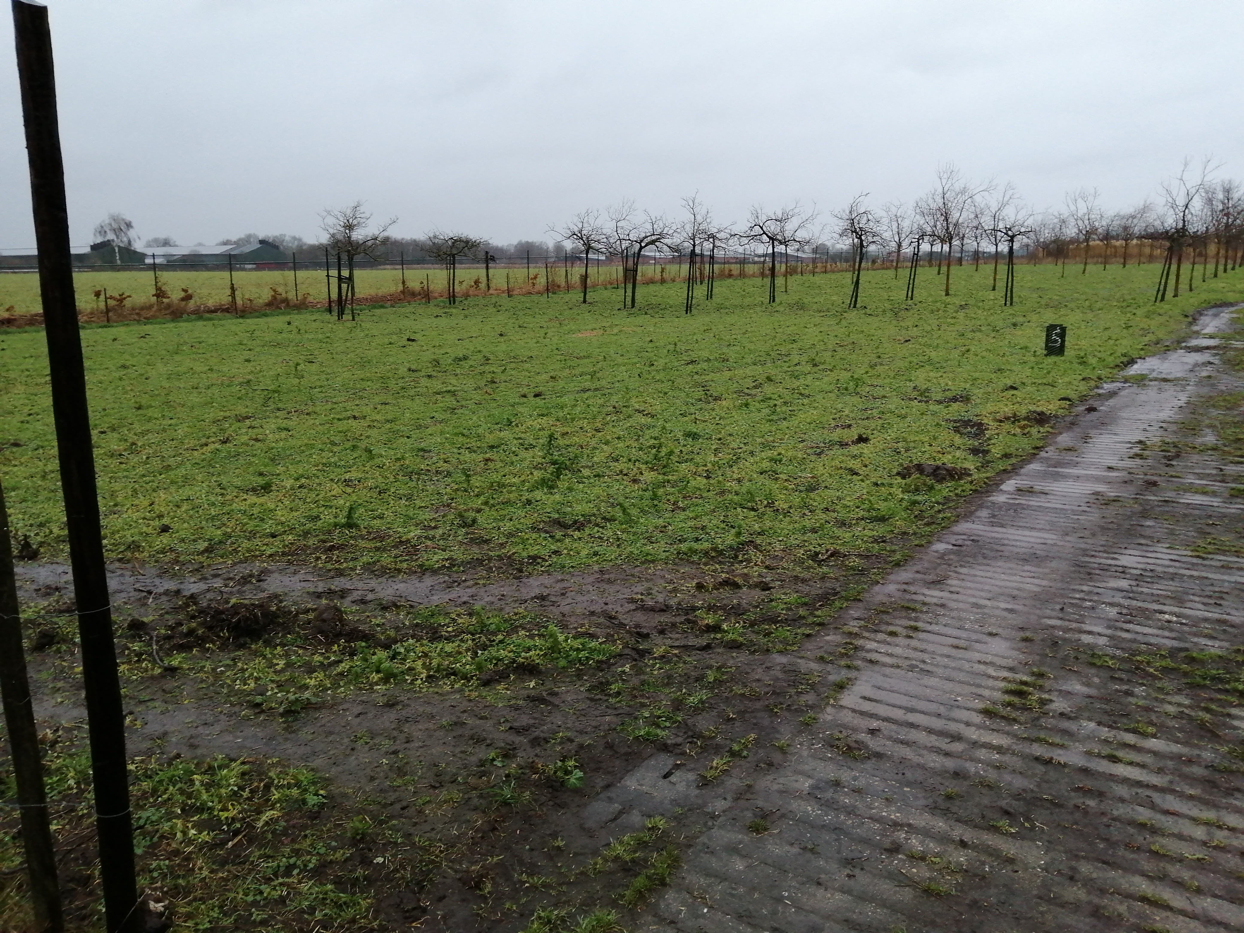 Opstart agro-ecologische tuinderij op Aards in Ospel. campaign photo, 4 of 5