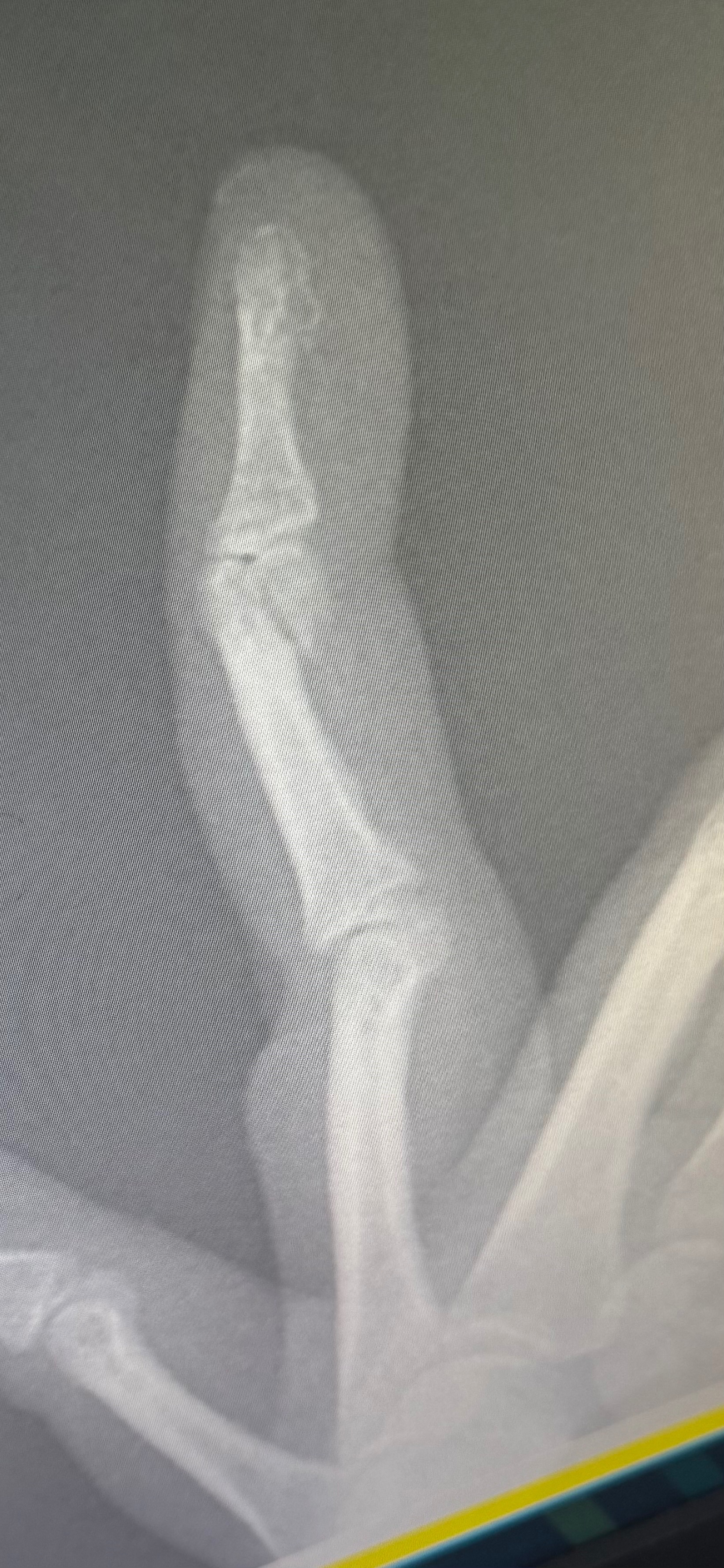 $900 SHORT Urgent Surgery Fund – Time Sensitive campaign photo, 2 of 8