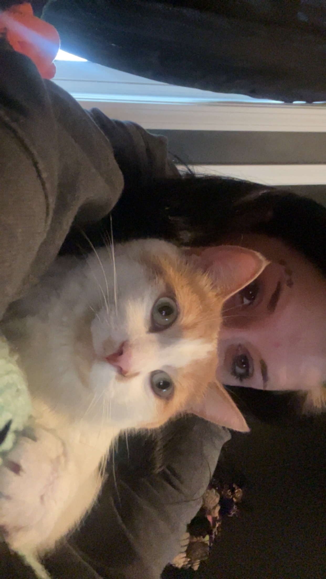Support Julien’s Vet Bills and Recovery campaign photo, 4 of 7