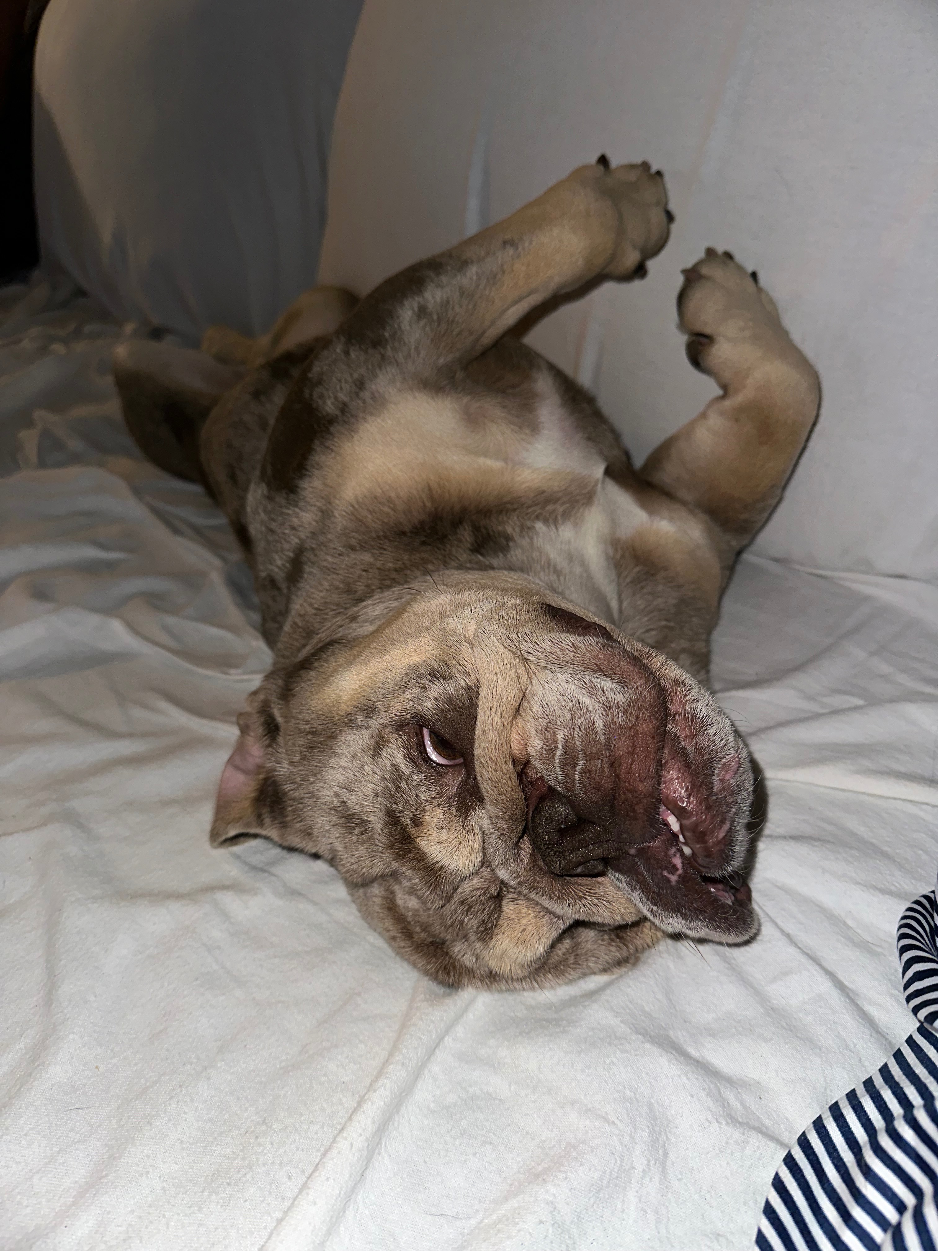 Fighting for Her Life: Help Our Sweet Girl Through an Unthin campaign photo, 6 of 8