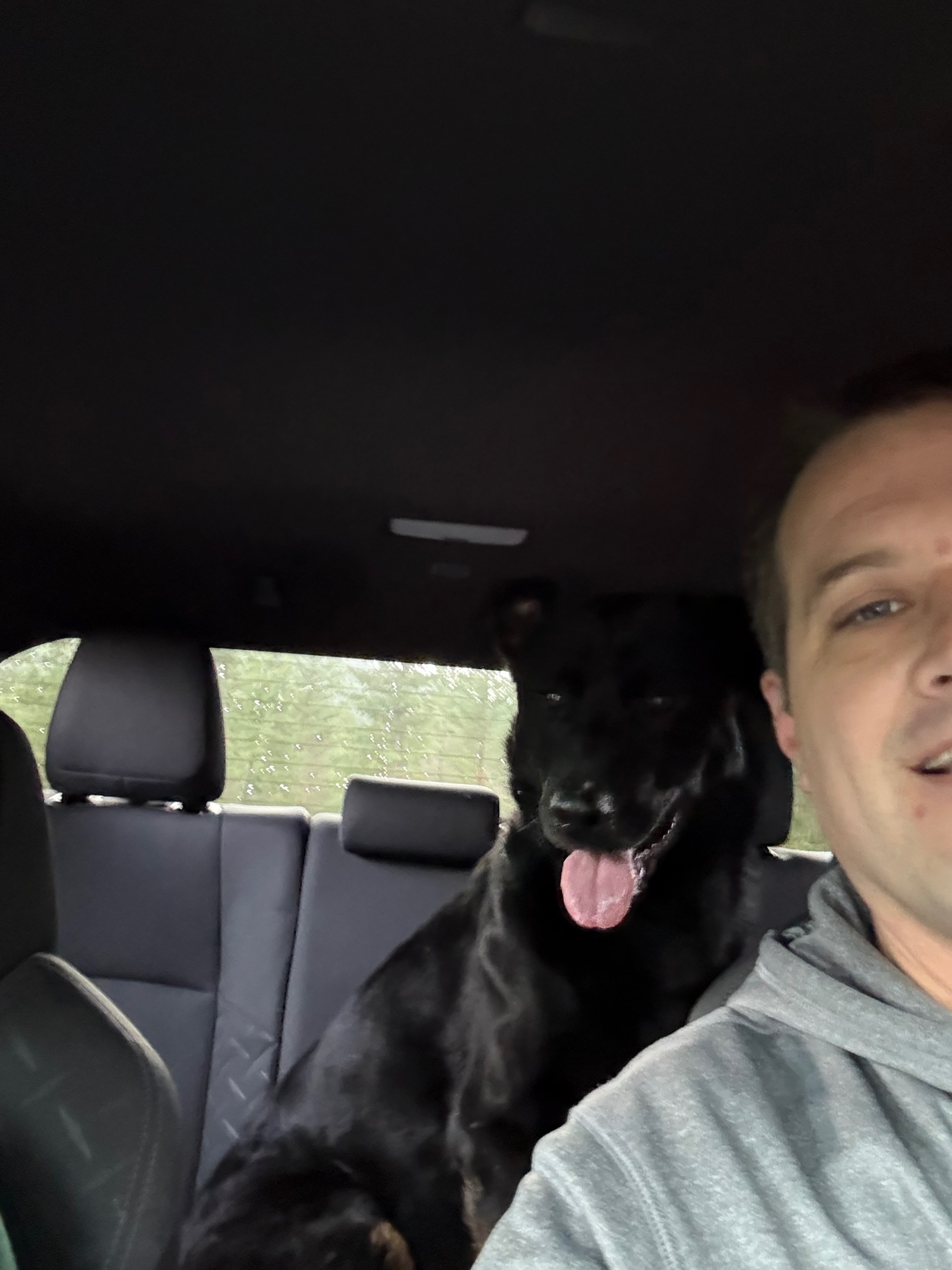 Help Erik and Kacey Care for Lost Dog from Talent, Oregon campaign photo, 6 of 8