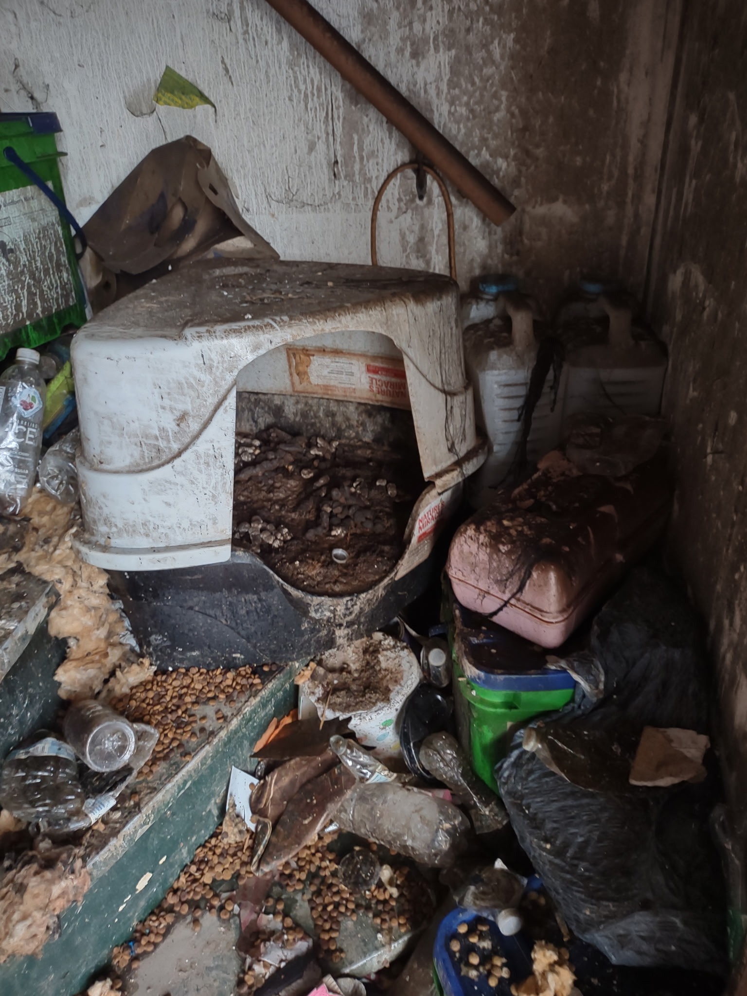 Help Restore Home After Fire and Hoarding Cleanup campaign photo, 5 of 7