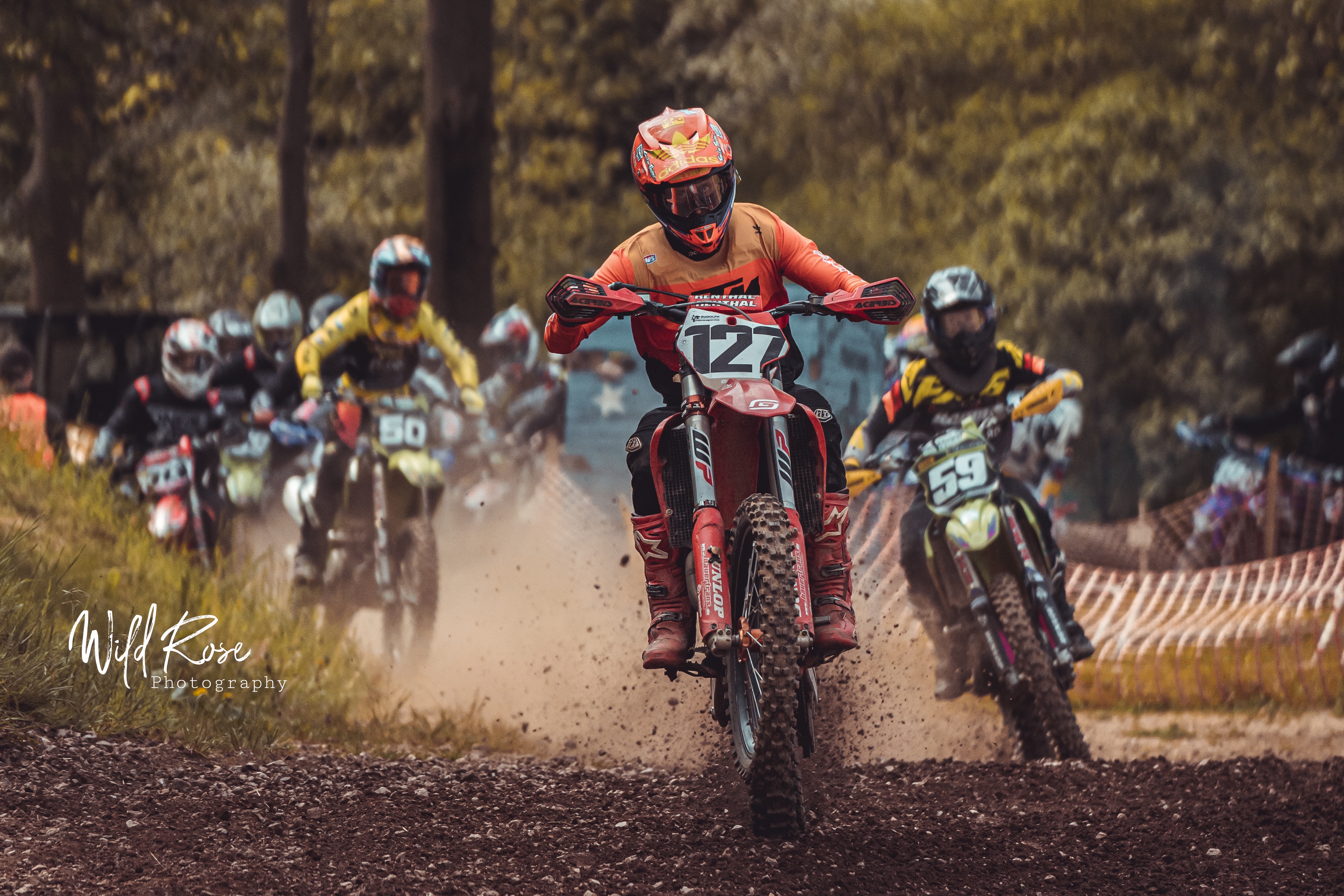 Crave (Crave, #1) by Tracy Wolff | Goodreads, image size:4000x2667