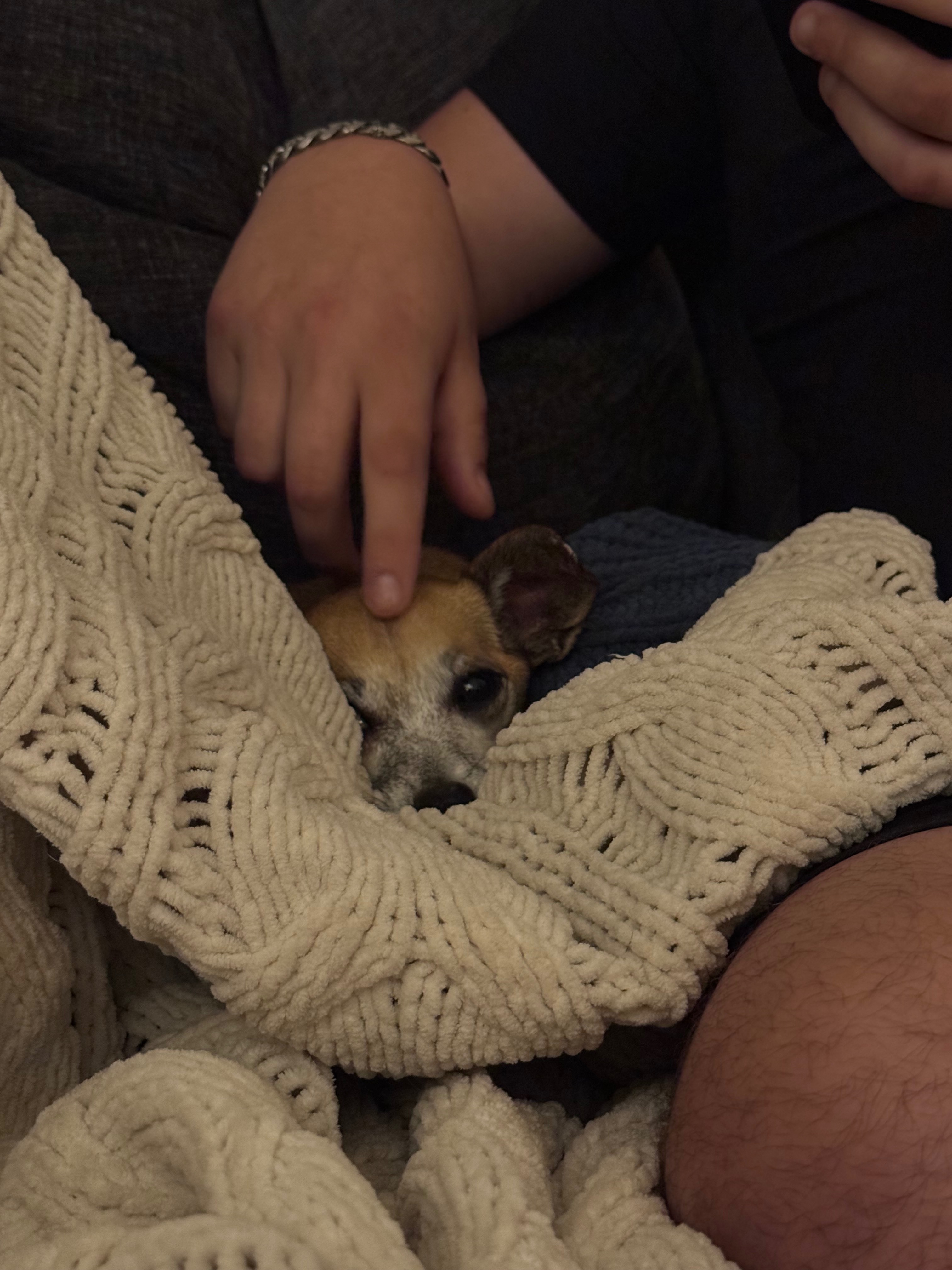 Help Bring Daisy’s Ashes Home campaign photo, 5 of 6