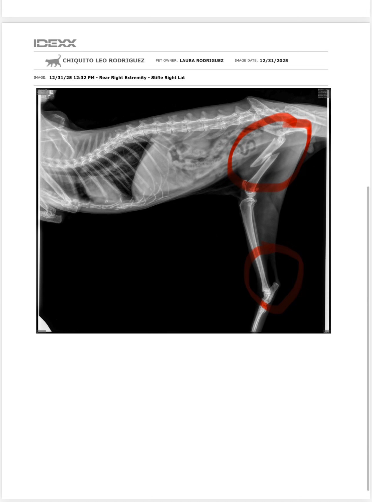 Help Chiquito Recover After Accident campaign photo, 2 of 8