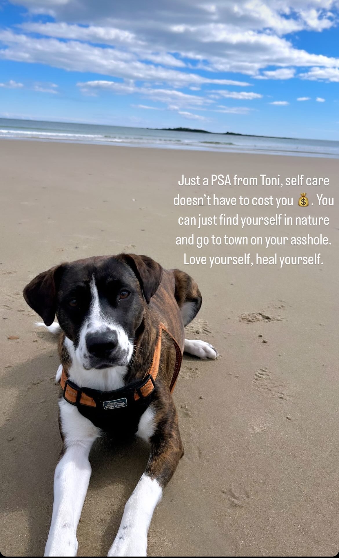Support Toni’s Journey back to Full Mobility campaign photo, 5 of 8
