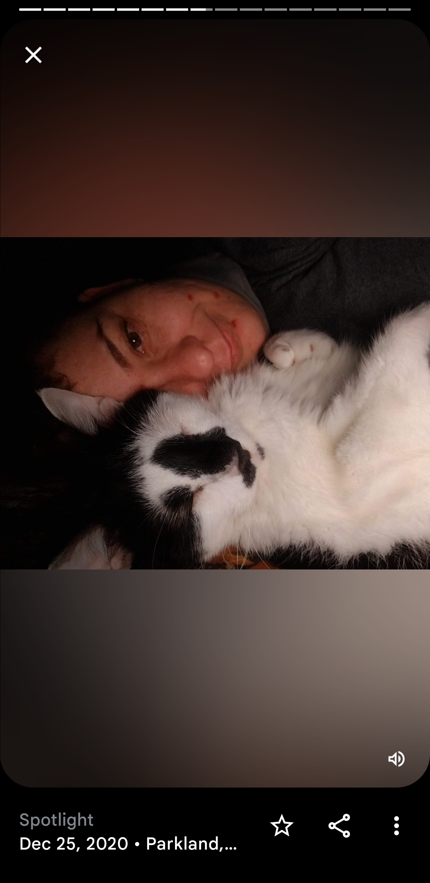 Help Save Mittens: Emergency Vet Care campaign photo, 2 of 8