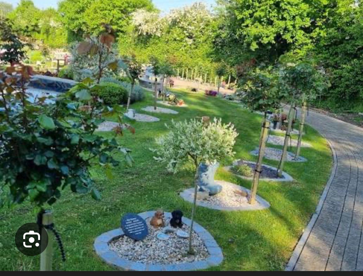 A memorial tree and plot for Albie Rupert Mann campaign photo, 5 of 8