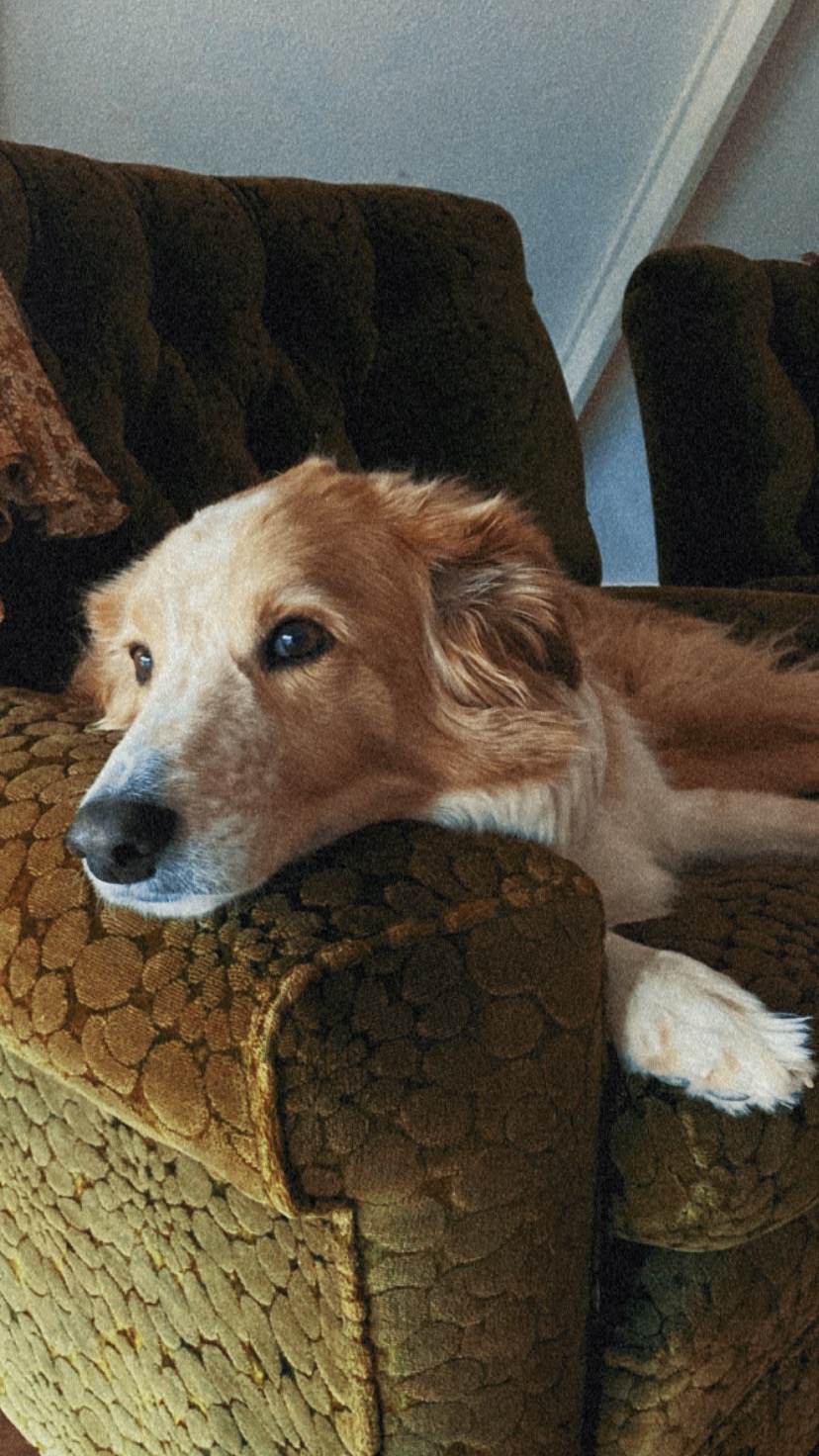 Help keep this angel on earth campaign photo, 7 of 8