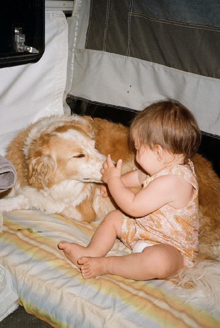 Help keep this angel on earth campaign photo, 2 of 8