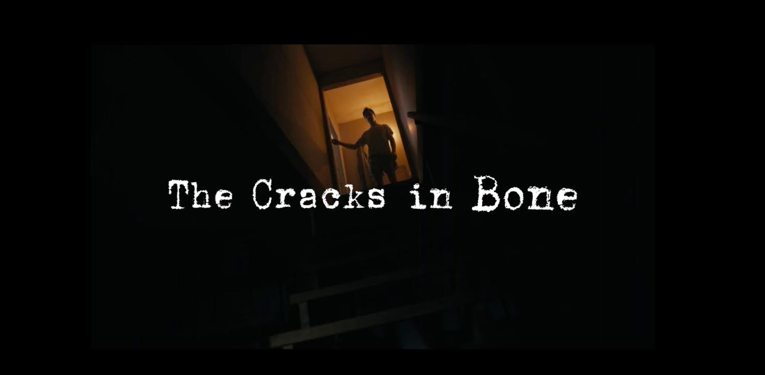 The Cracks in Bone campaign photo, 2 of 4