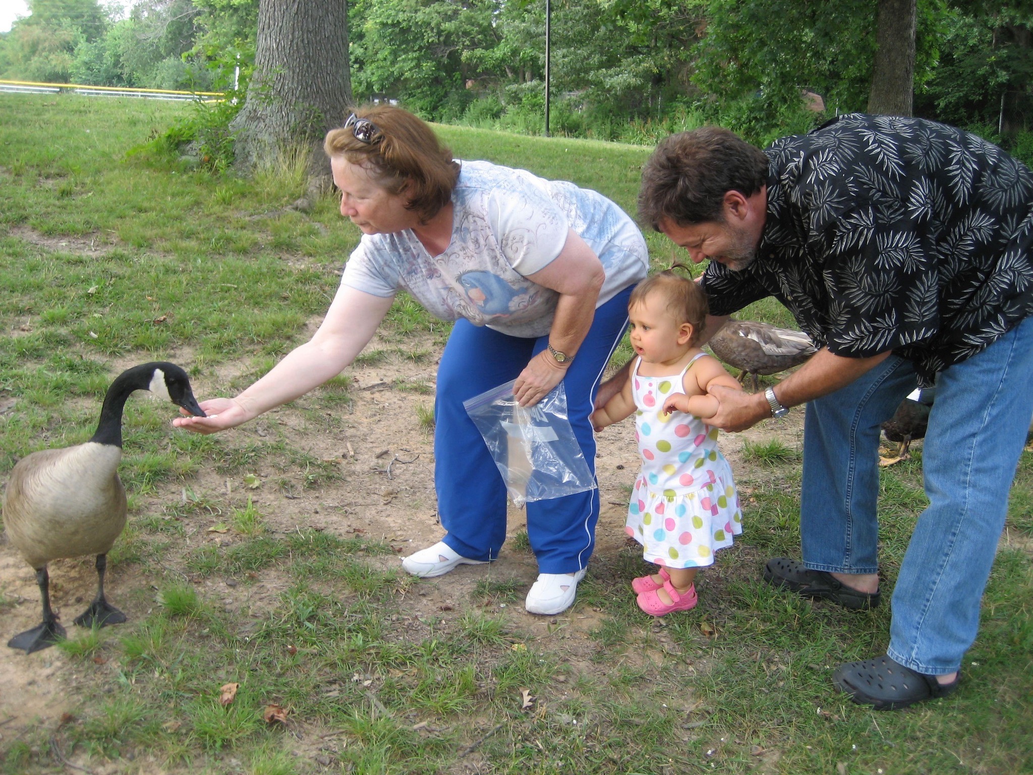 Memorial for Roy at Nashville Zoo campaign photo, 5 of 8