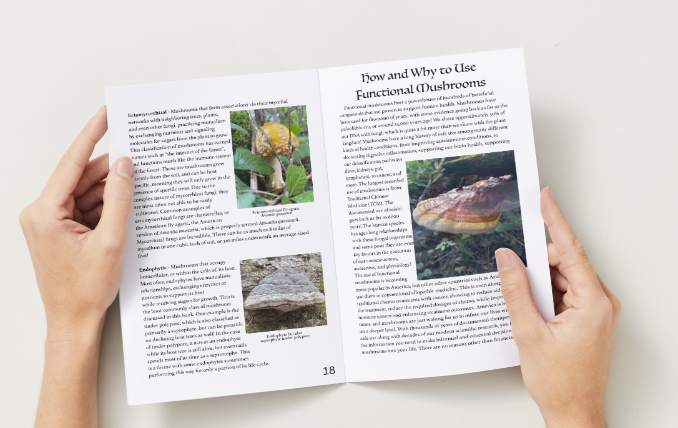 Help bring Wild Healing with Medicinal Mushrooms to Print! campaign photo, 4 of 7