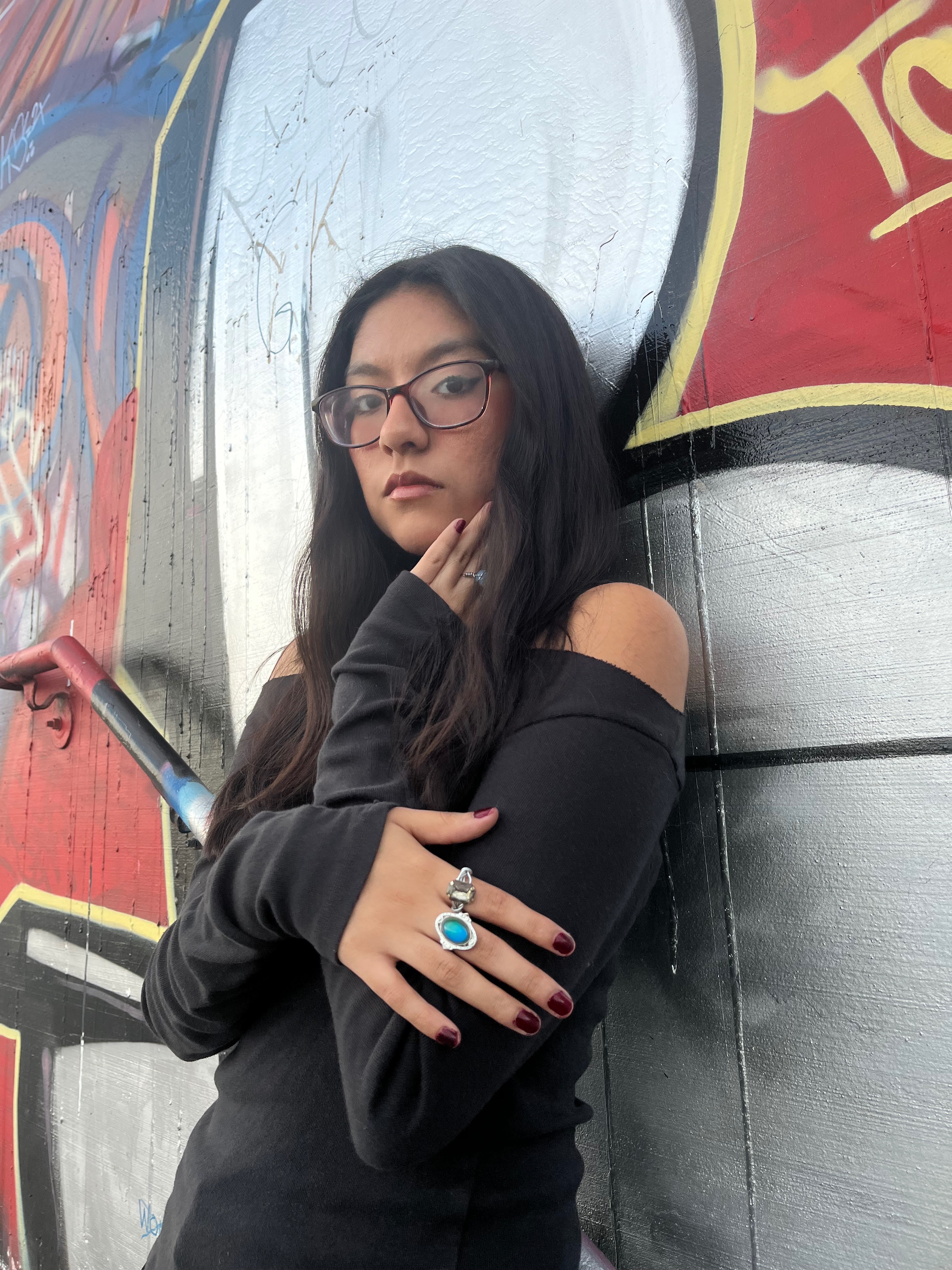 Help Fund Natasha's Music Video campaign photo, 4 of 5