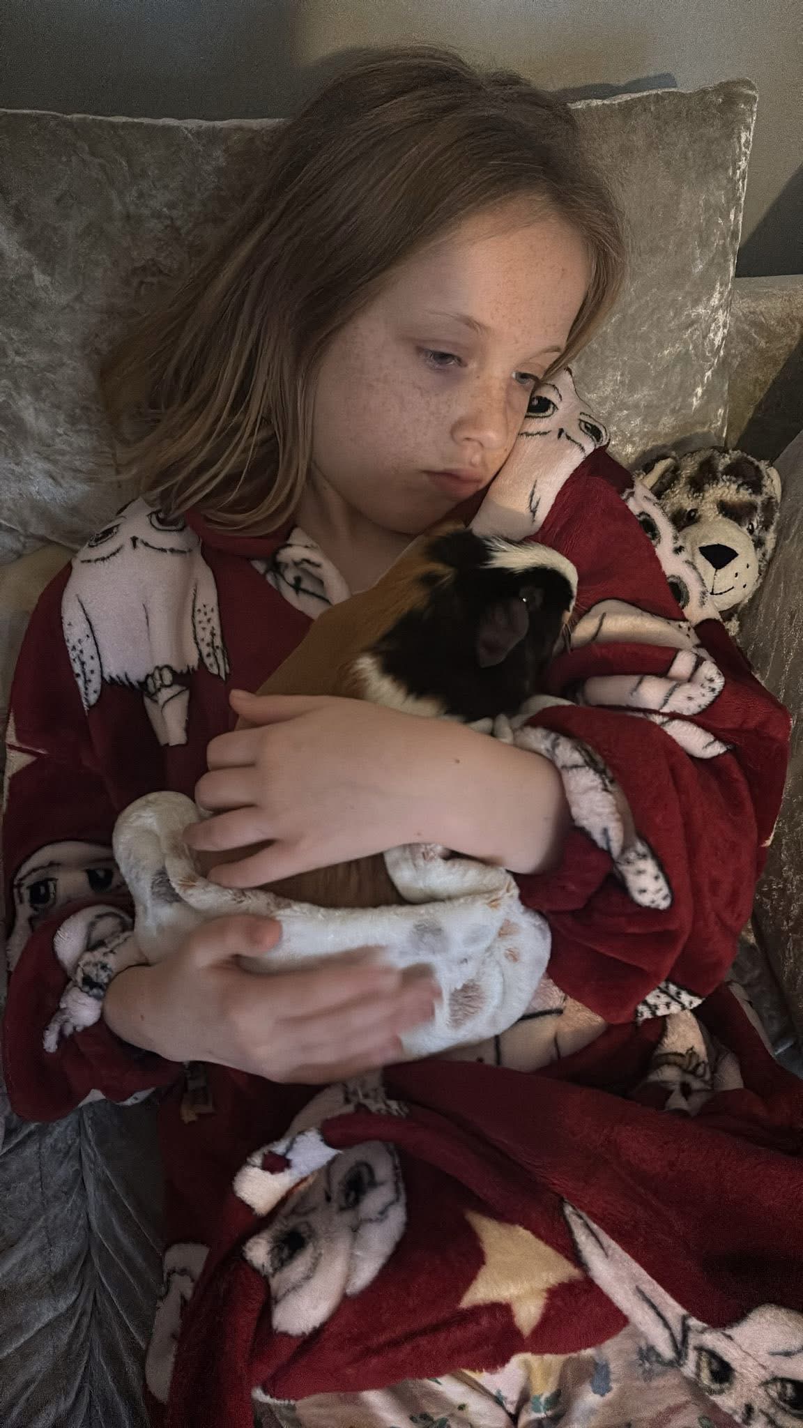 Please help save ICE CREAM the Guinea Pig campaign photo, 5 of 7