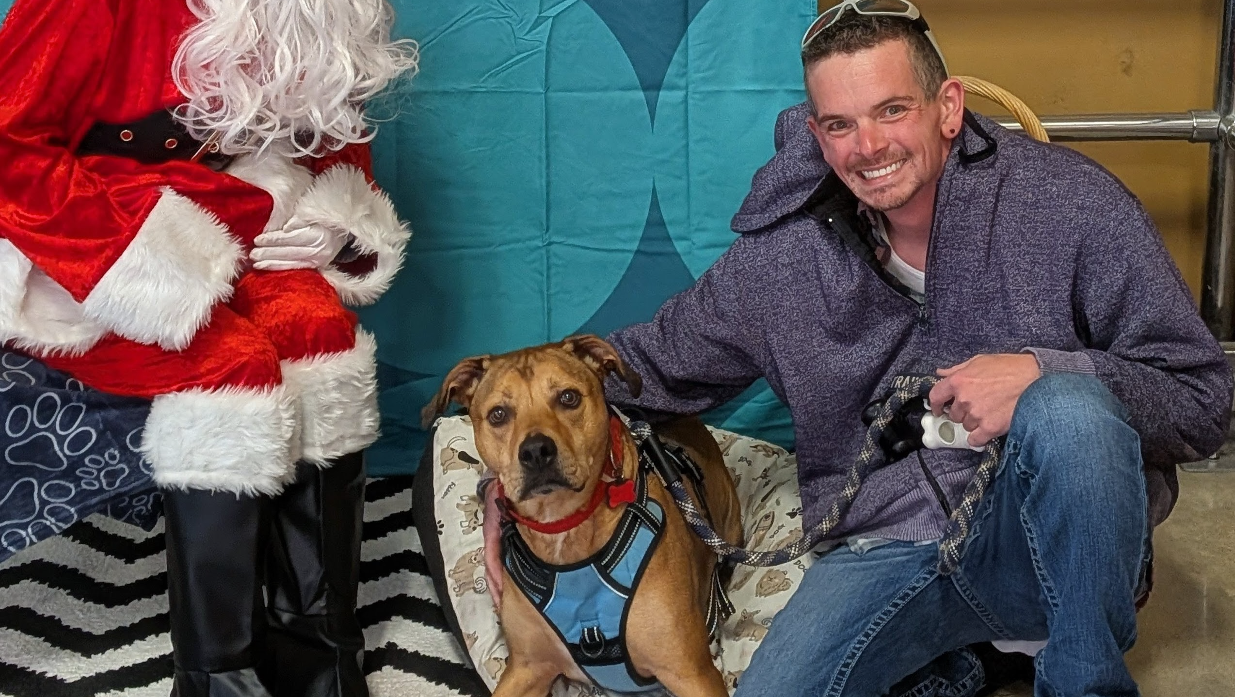 Please help us cover rent after a bad year! photo