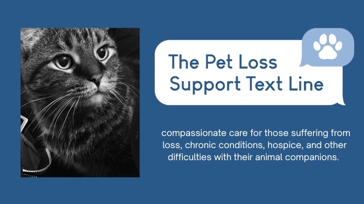Support the  Pet Loss Support Text Line campaign photo, 2 of 5