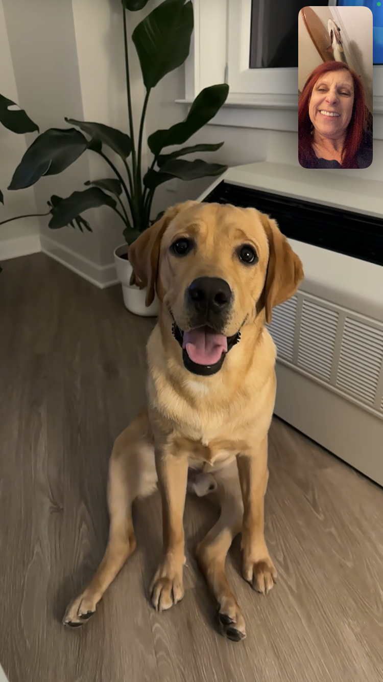 Help Obi Heal: Support His Surgery and Recovery campaign photo, 2 of 8