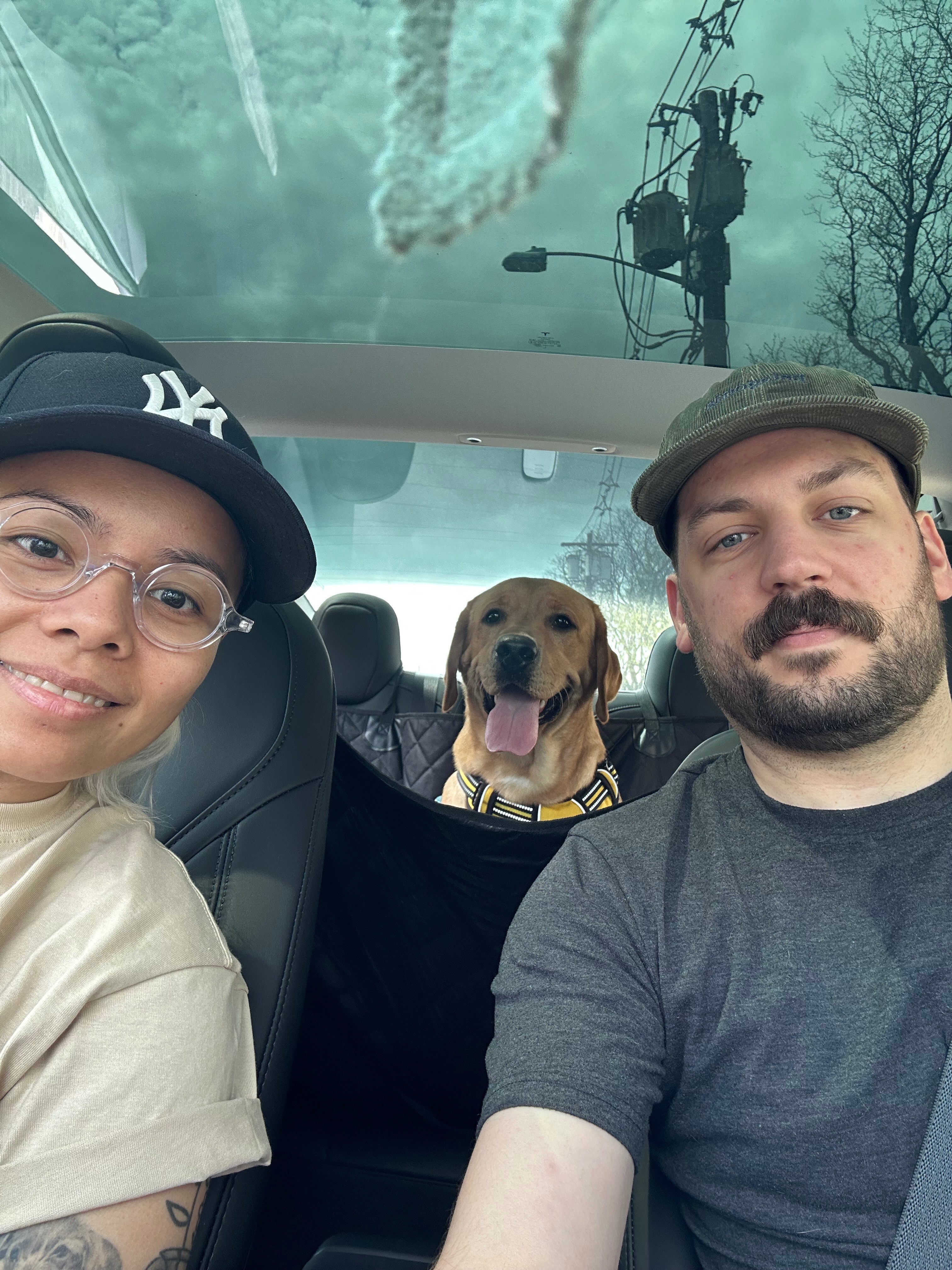Help Obi Heal: Support His Surgery and Recovery campaign photo, 5 of 8