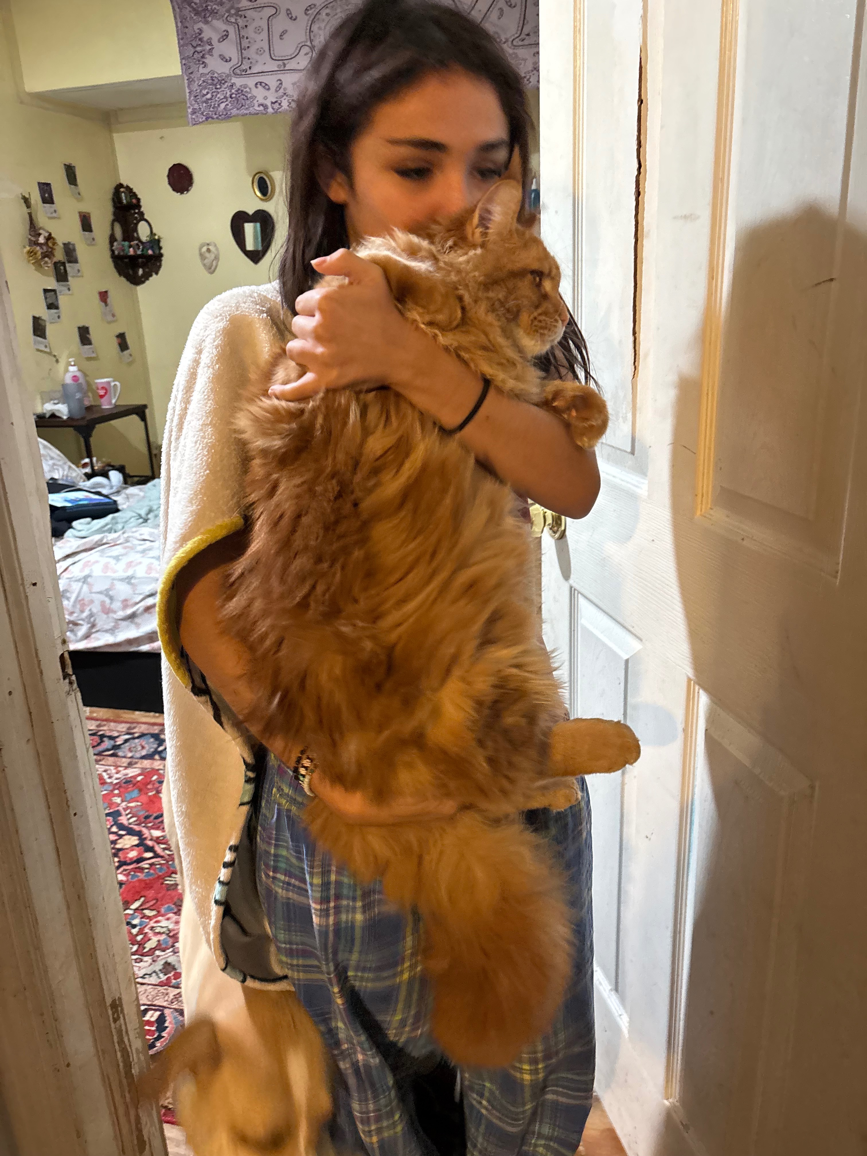 Help Save Randall’s Life: Emergency Surgery campaign photo, 4 of 8