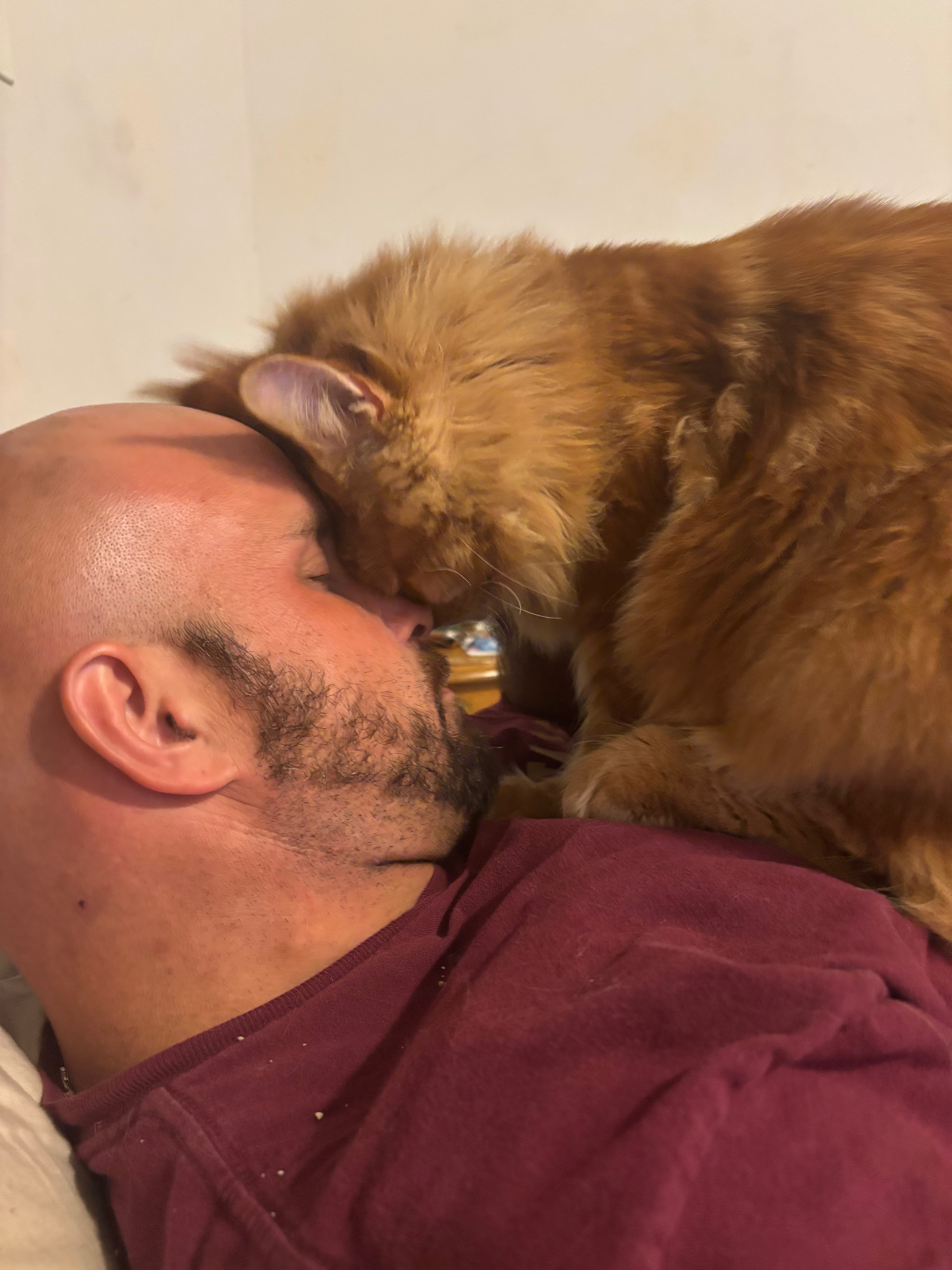 Help Save Randall’s Life: Emergency Surgery campaign photo, 5 of 8