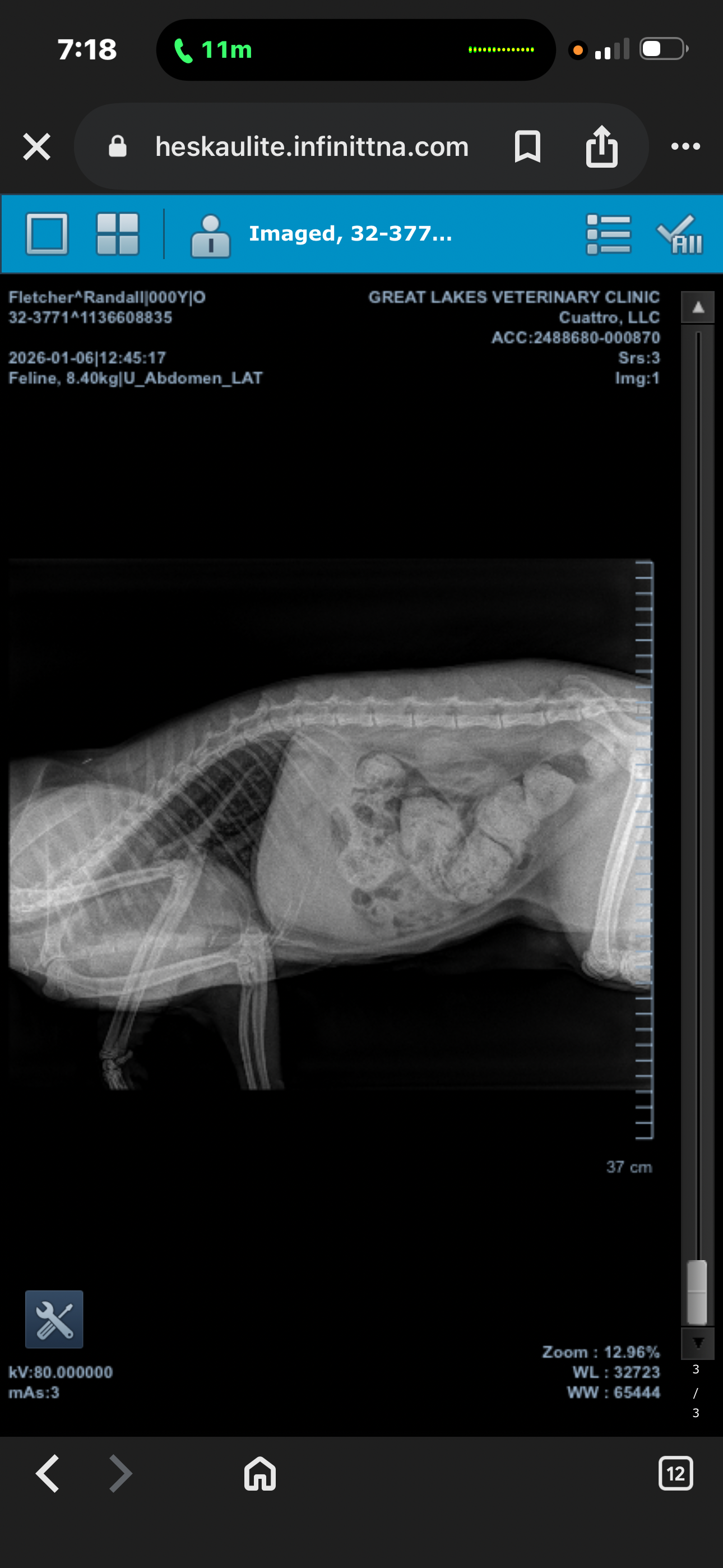 Help Save Randall’s Life: Emergency Surgery campaign photo, 6 of 8