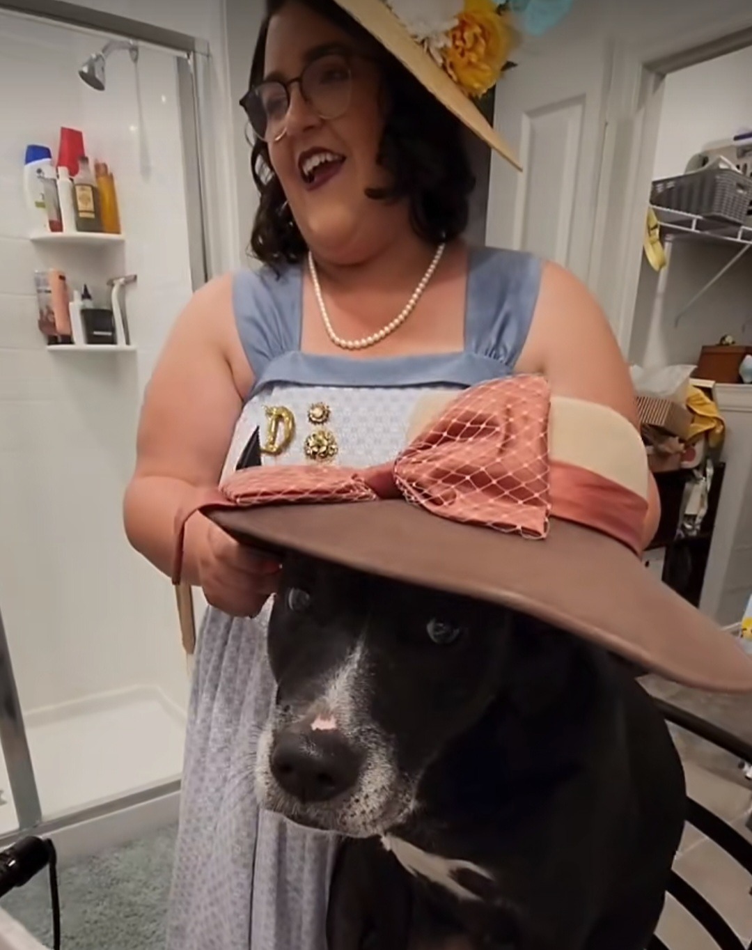 Dory saved me, please help me save her campaign photo, 7 of 8