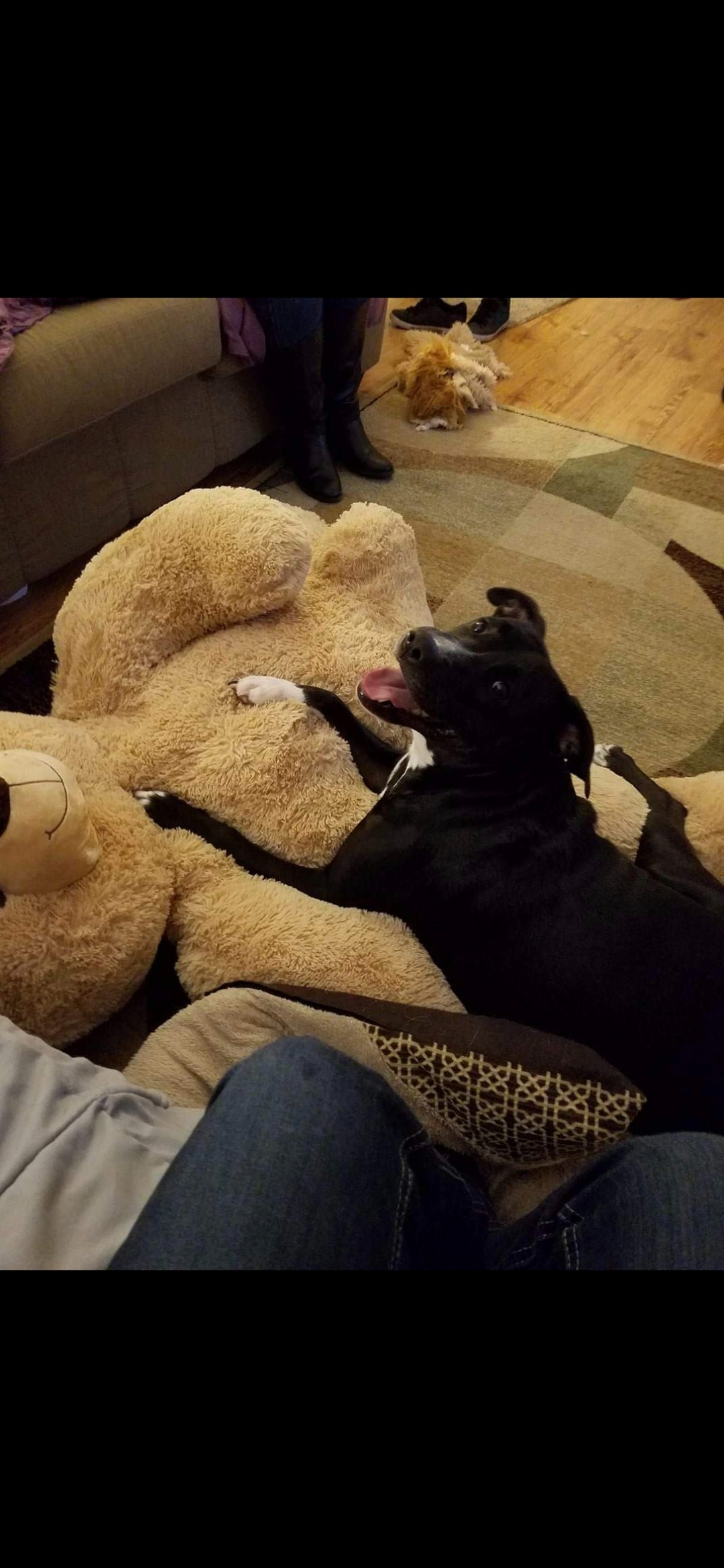 Dory saved me, please help me save her campaign photo, 5 of 8