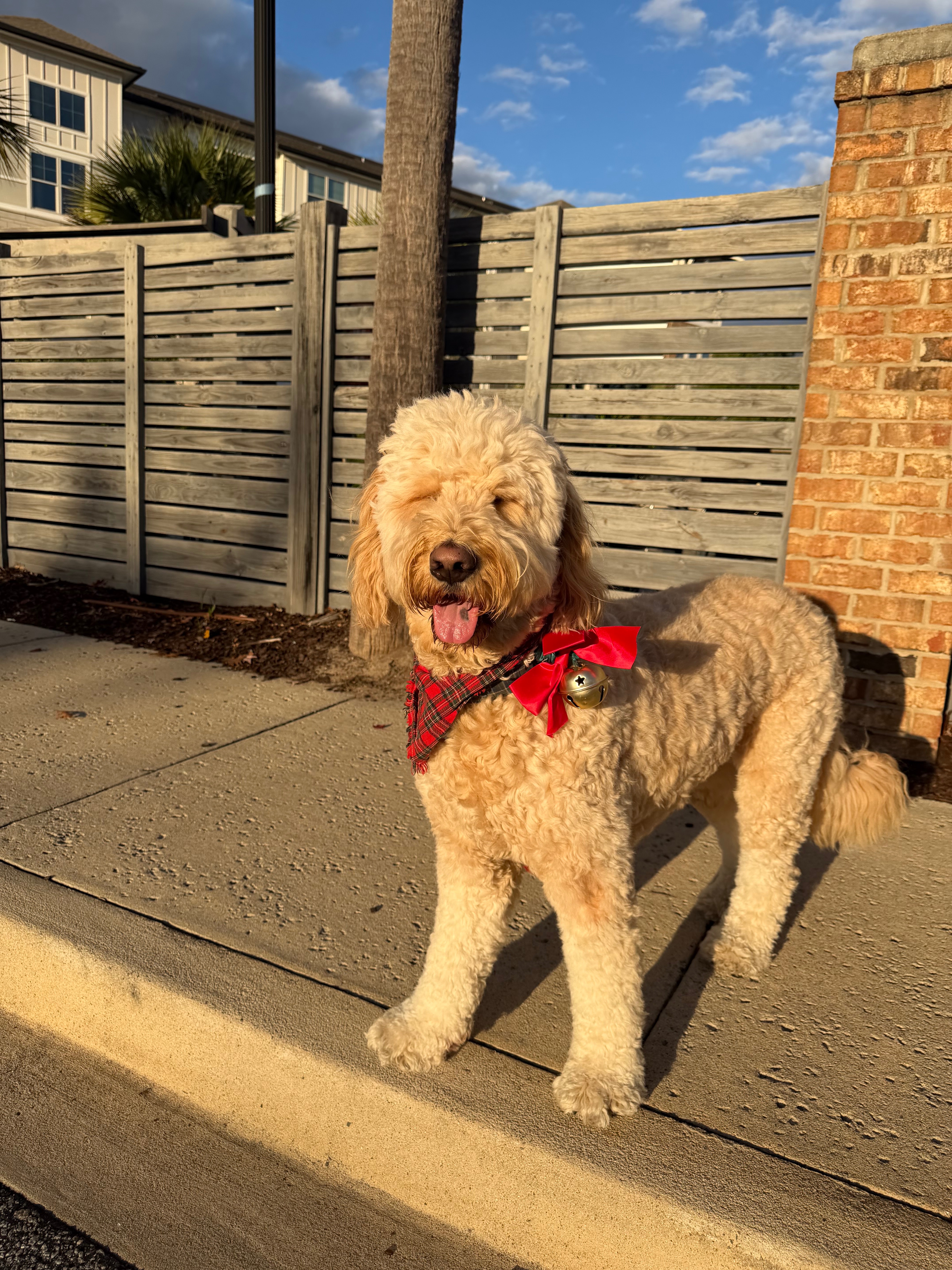 Support Teddie’s Journey to Pain-Free Days campaign photo, 6 of 8