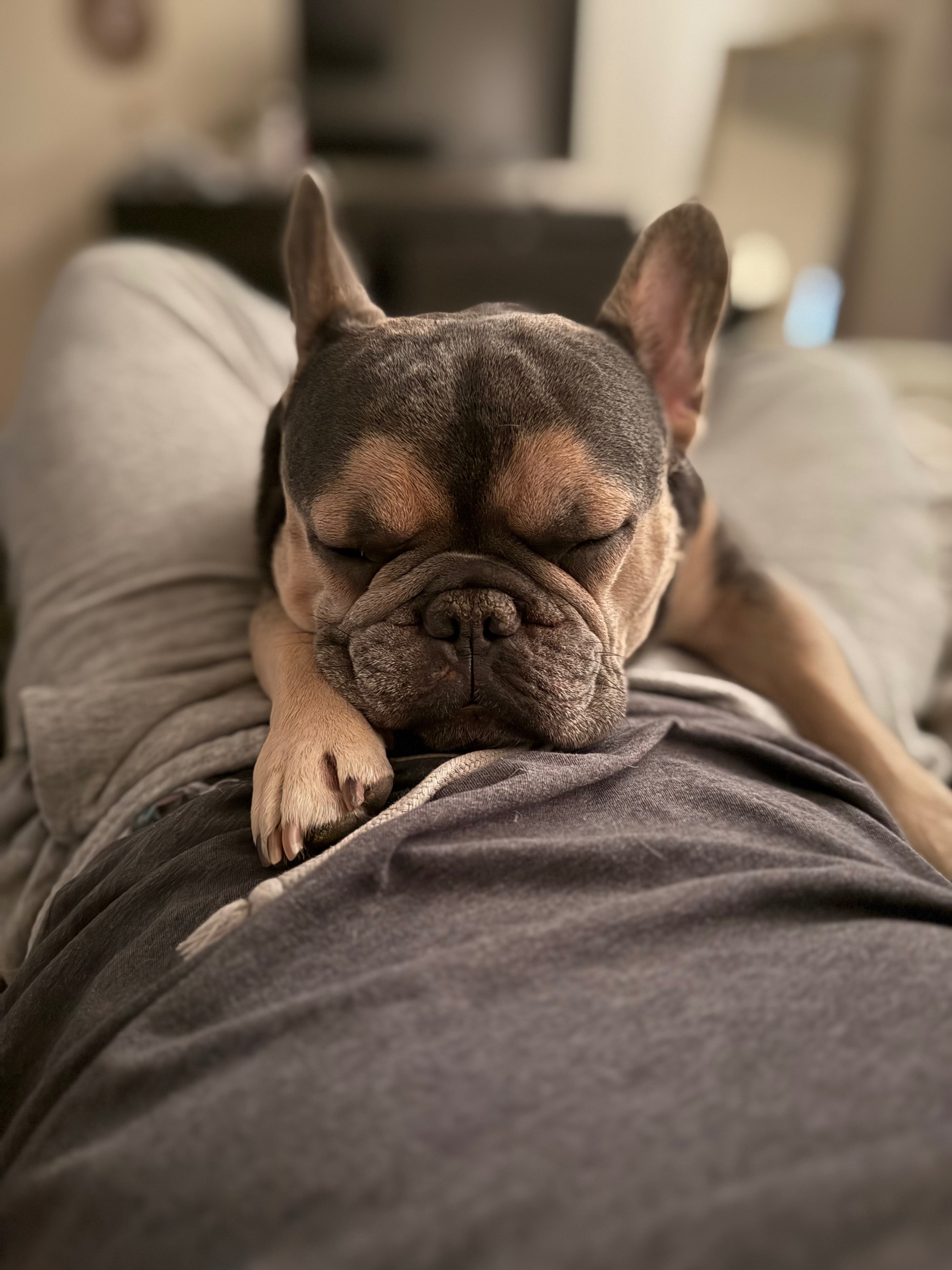 Help with Kingston’s Spinal Surgery campaign photo, 2 of 7