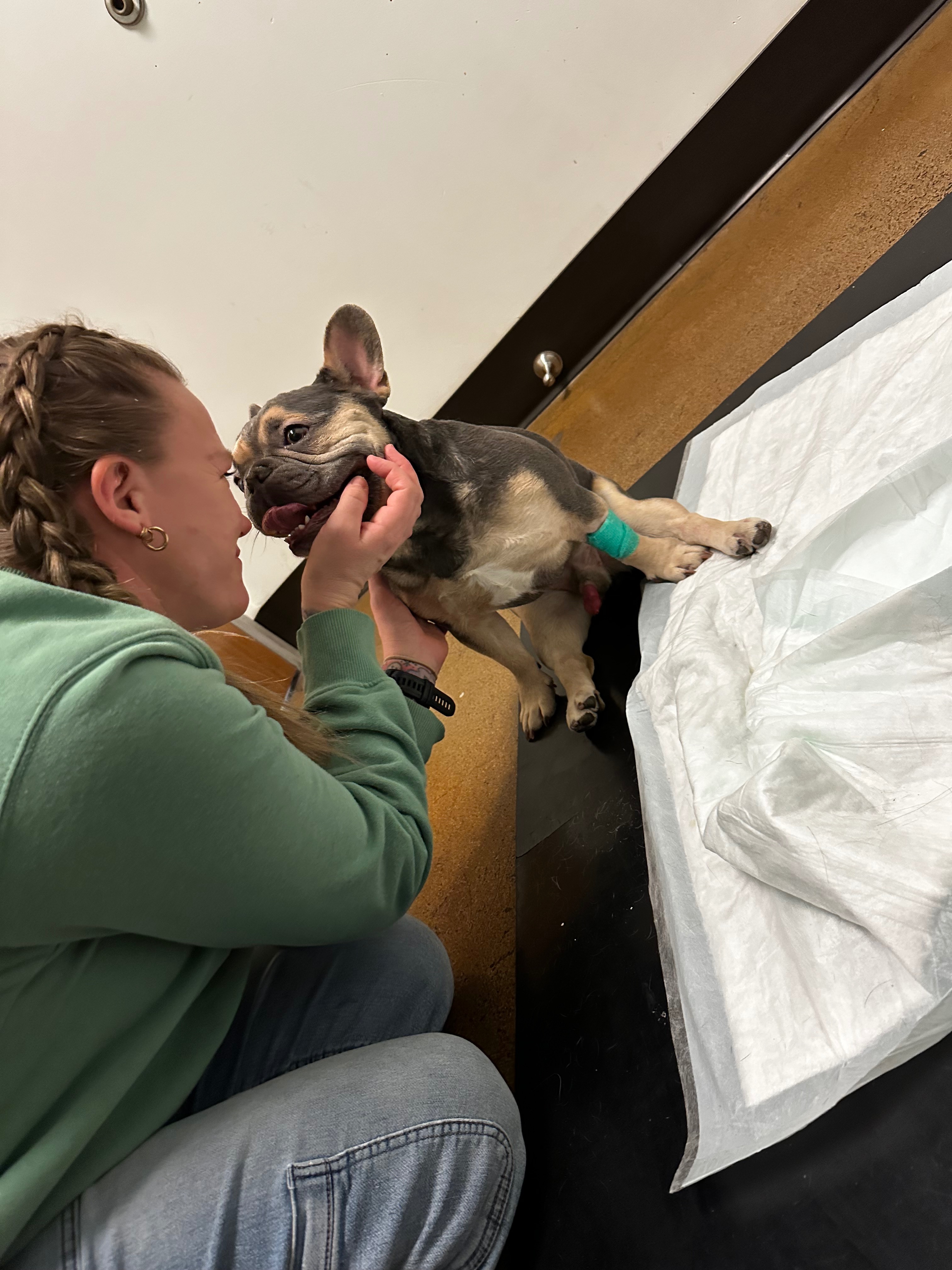 Help with Kingston’s Spinal Surgery campaign photo, 4 of 7