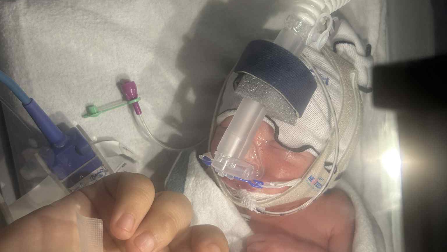 Support Mazie and Zack's Twins' Early Arrival photo