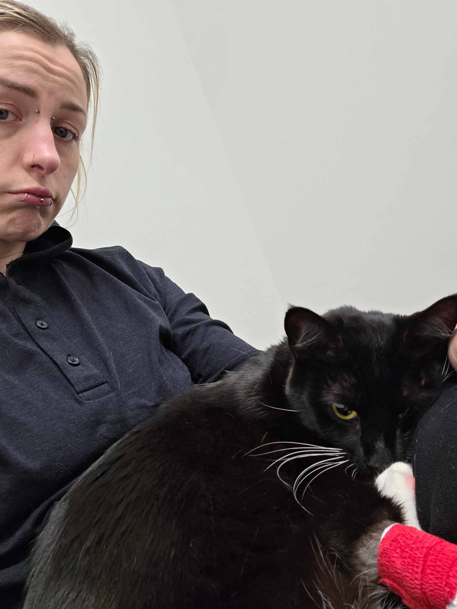 Get Godzilla Back on Her Paws campaign photo, 5 of 6