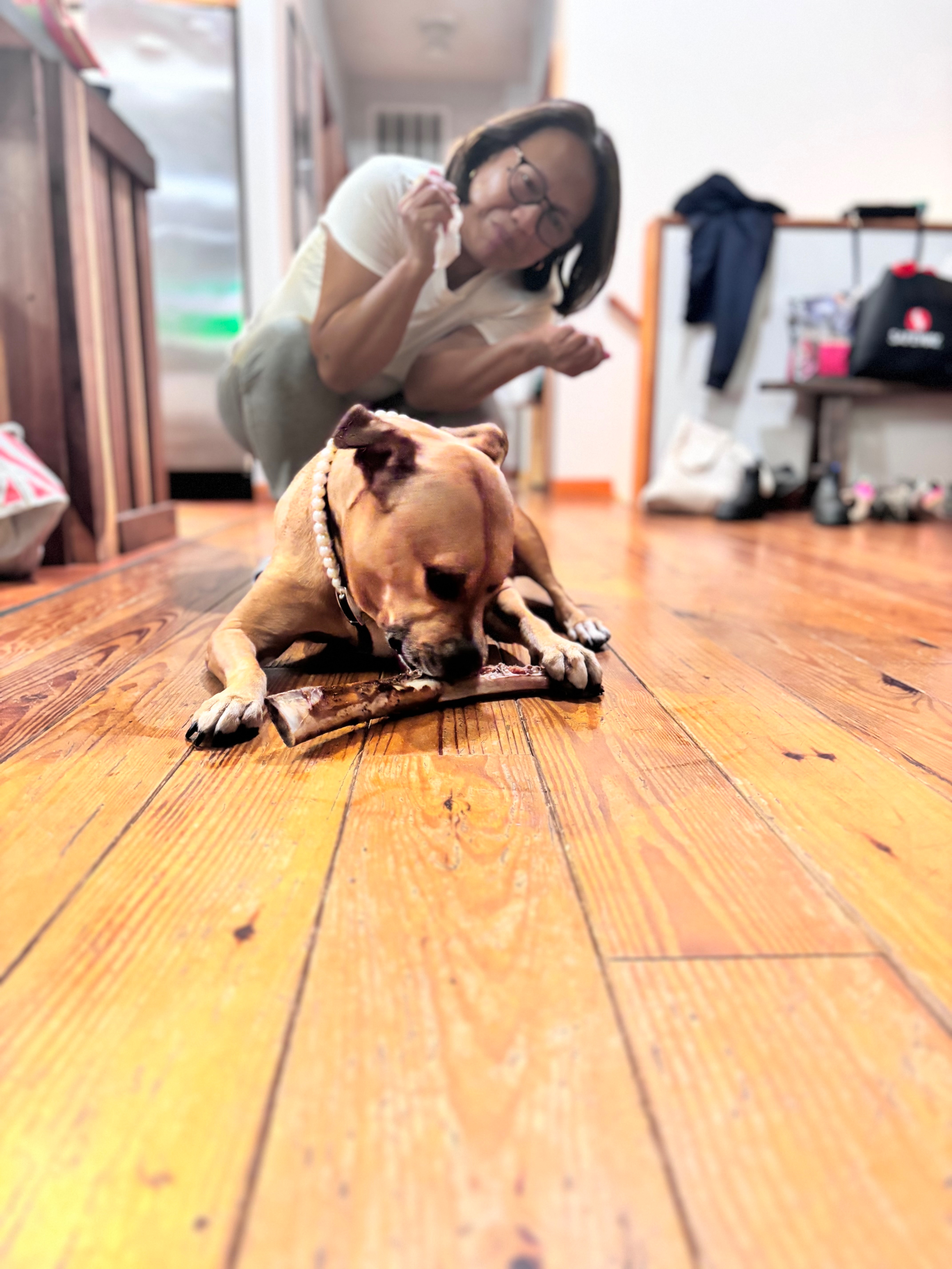 Help Bronx Walk Again After Her Accident campaign photo, 4 of 6