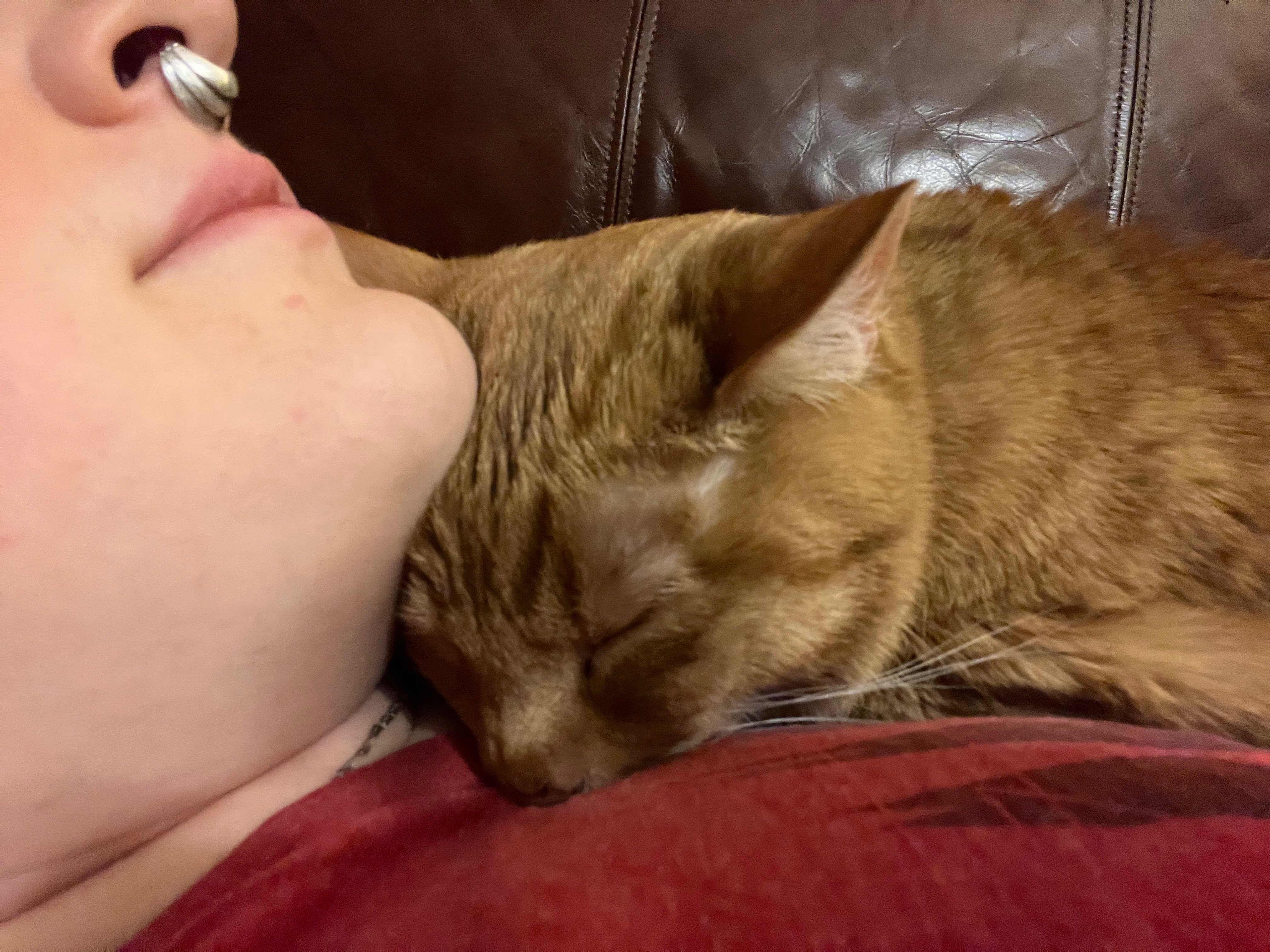 Help Support Sugar and Fidget in Critical Health Recovery campaign photo, 7 of 8