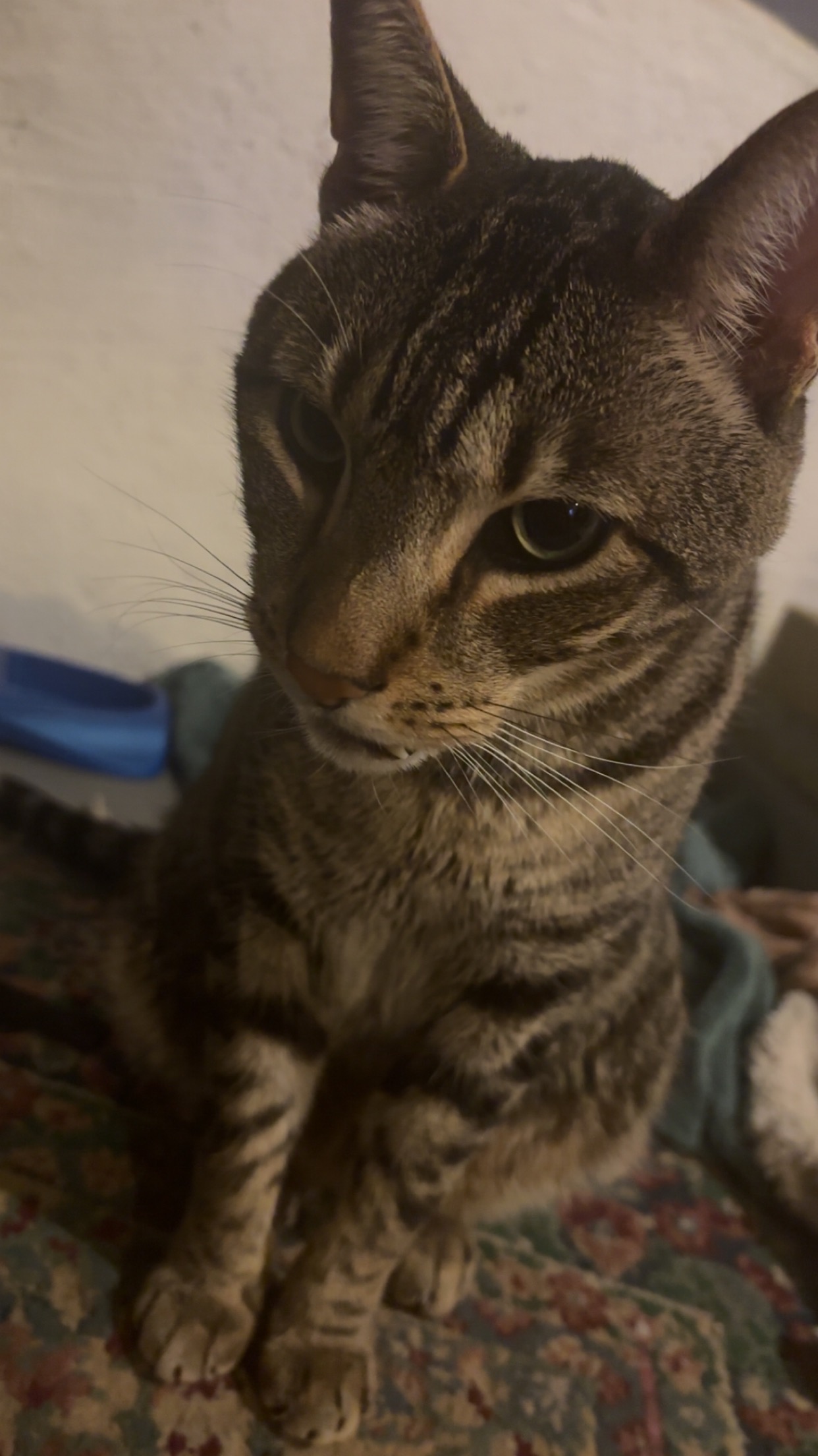 Help my boy get the care he needs! campaign photo, 5 of 6