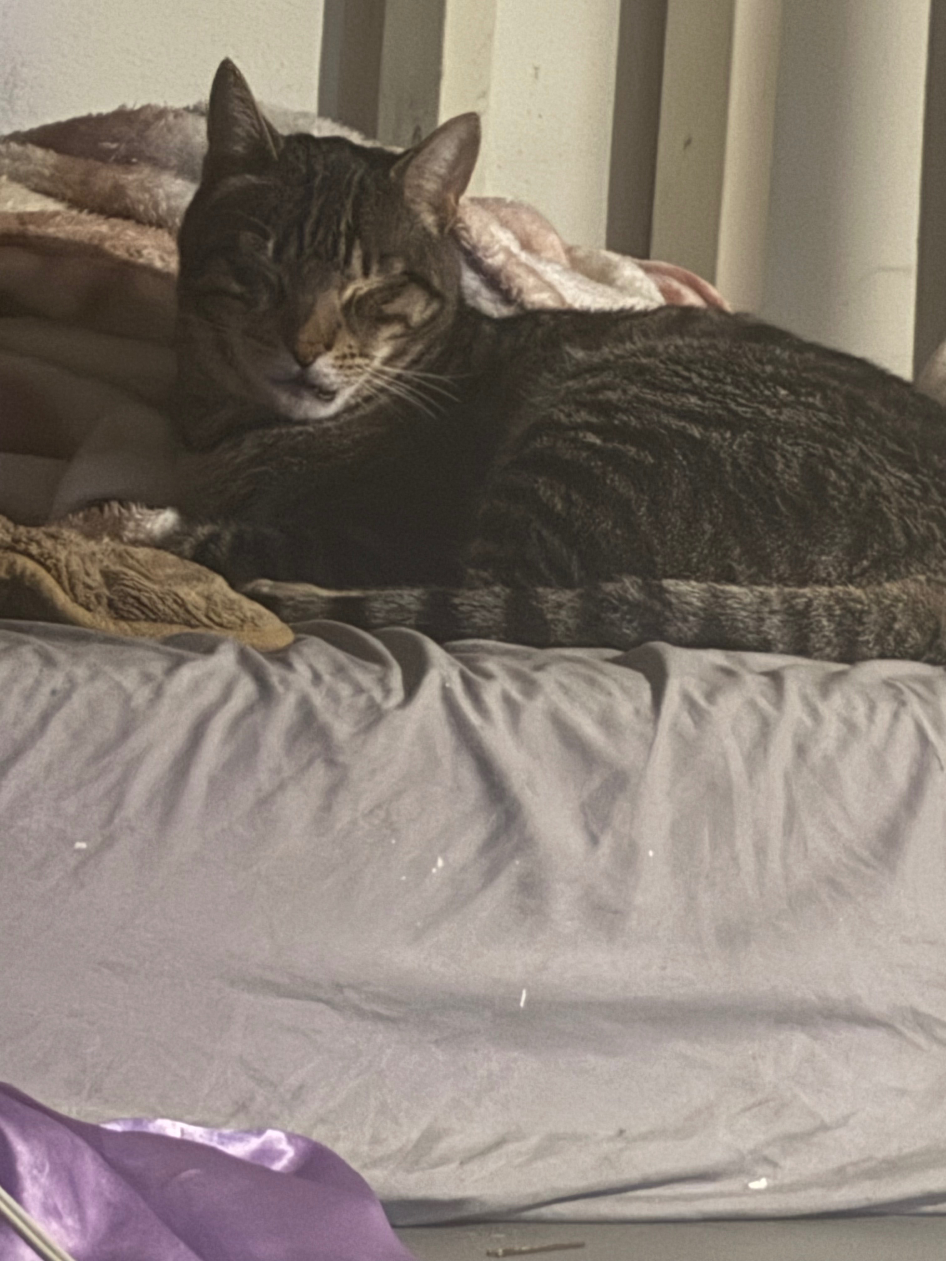 Help my boy get the care he needs! campaign photo, 2 of 6