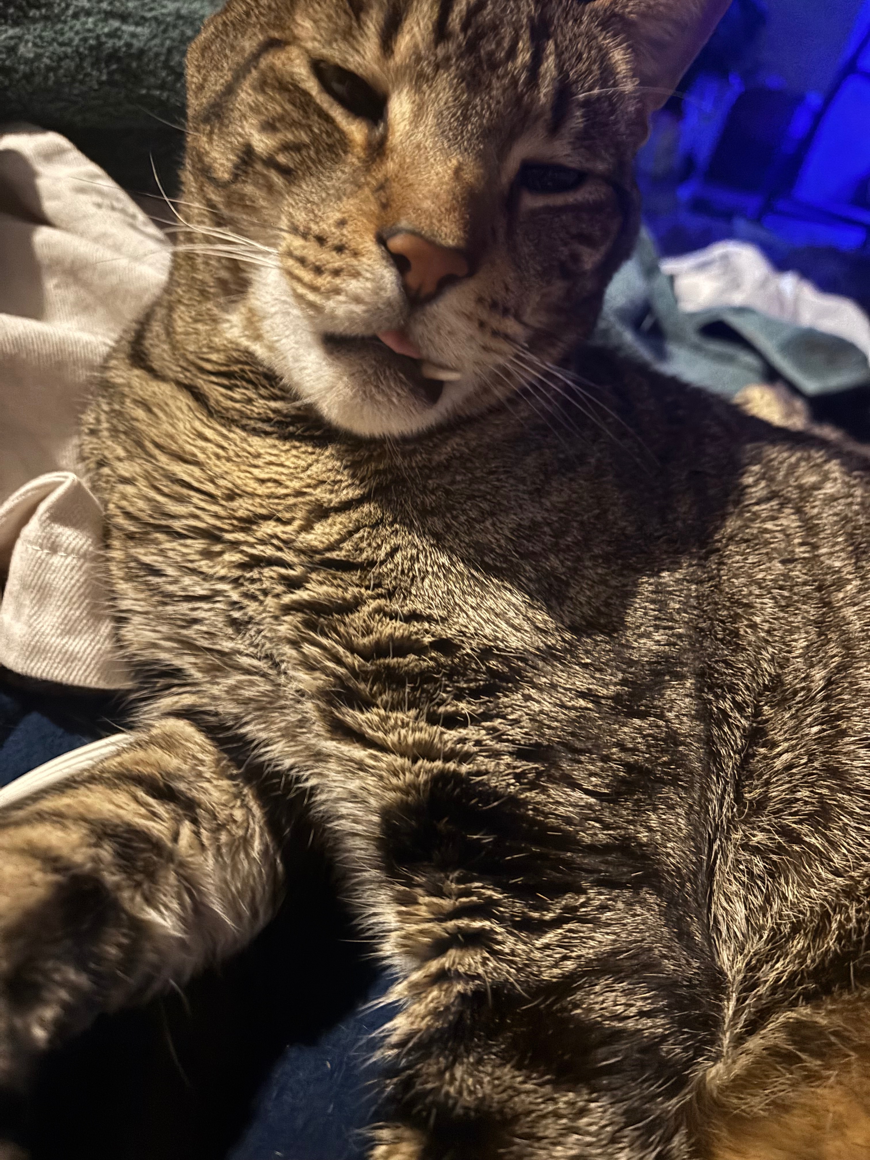 Help my boy get the care he needs! campaign photo, 4 of 6