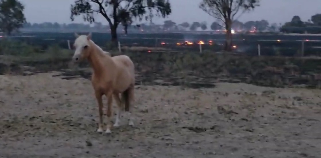 Catastrophic property fire, please help The Hallam’s rebuild campaign photo, 2 of 8