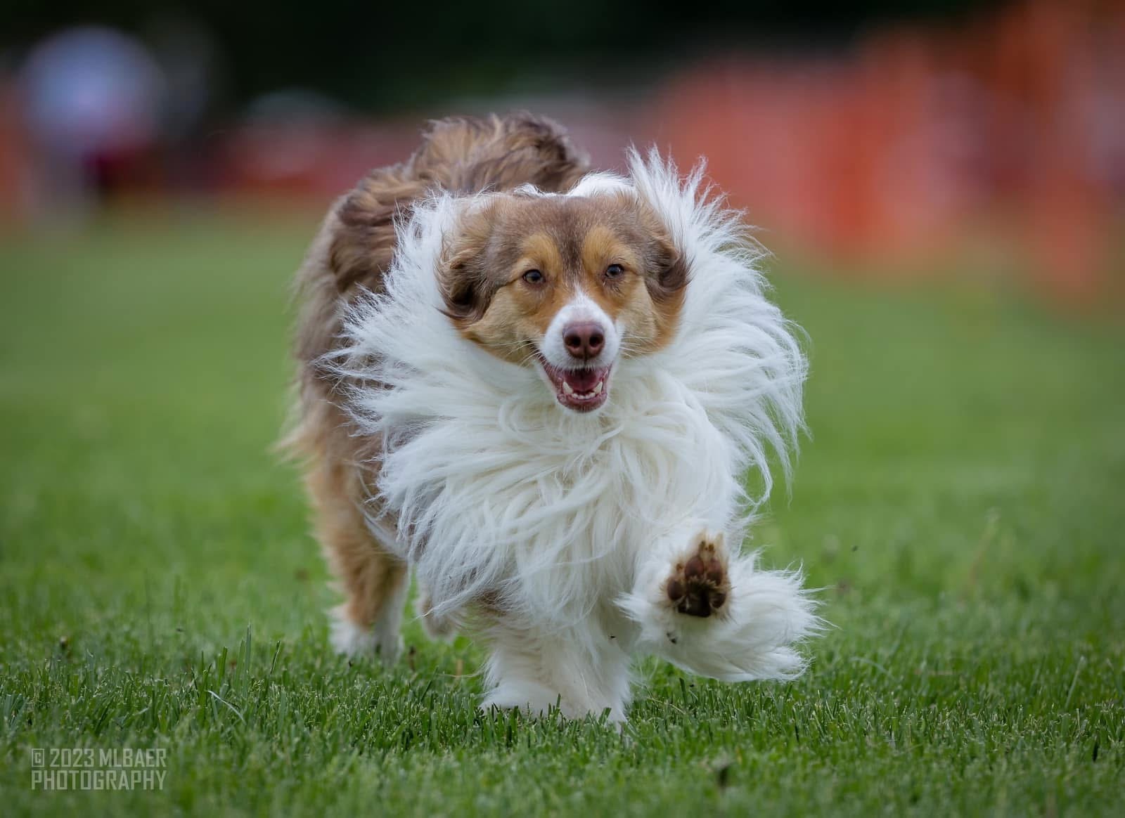 Relief for Clementine’s Spinal Surgery campaign photo, 7 of 7