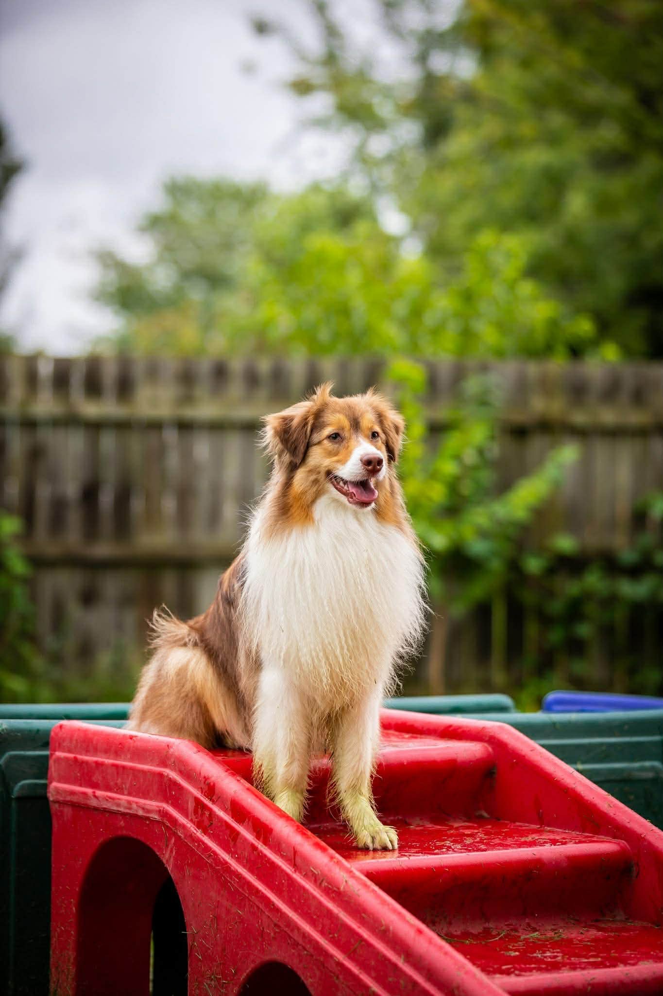 Relief for Clementine’s Spinal Surgery campaign photo, 4 of 7