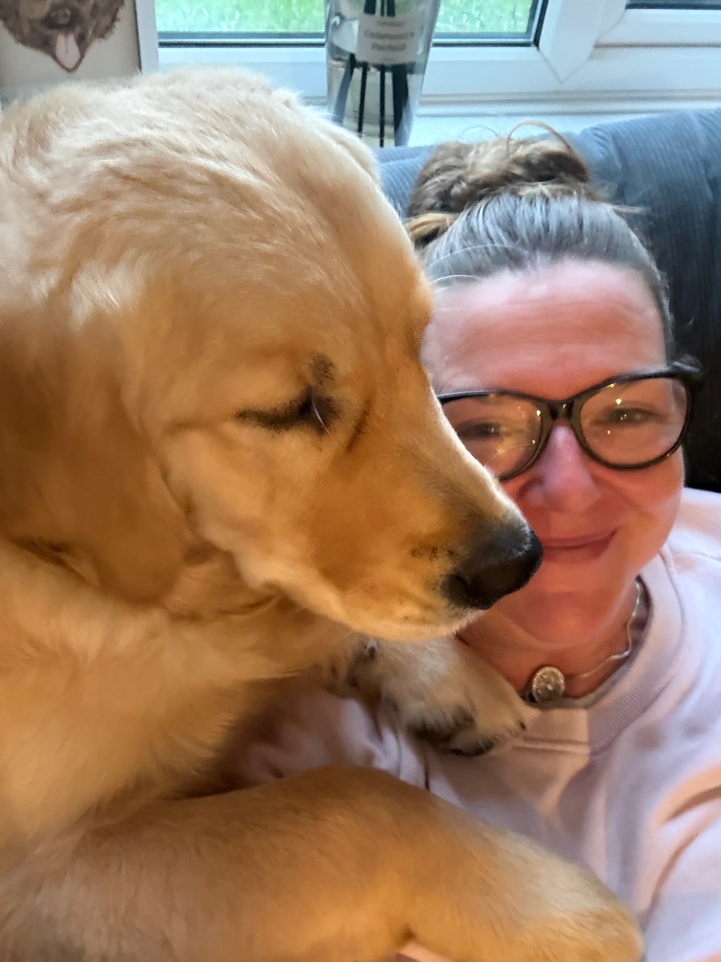 “Every step counts! Walking 1,000 miles to train Hank “ campaign photo, 7 of 8