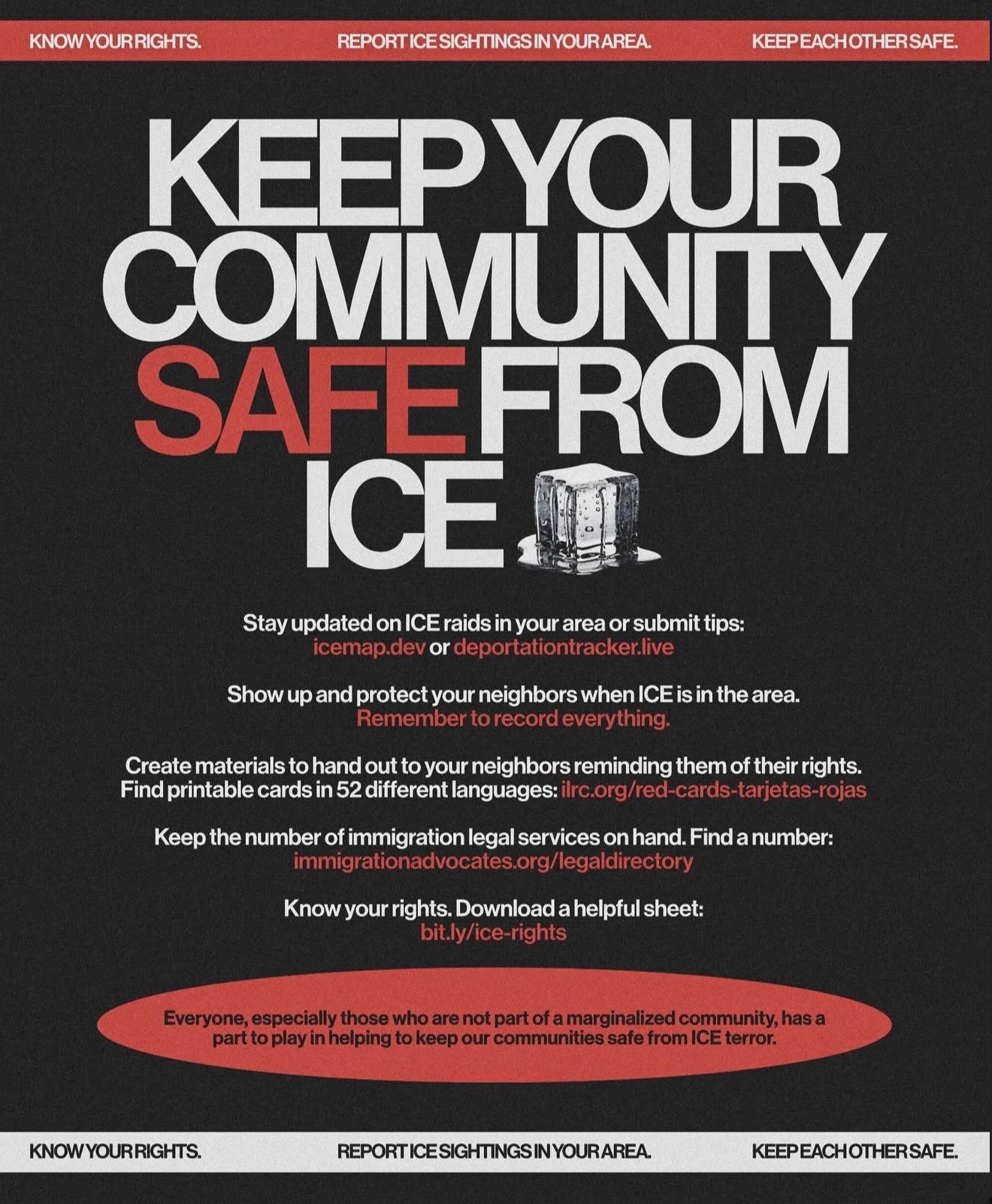 Food Support for Families Affected by ICE in MN campaign photo, 4 of 6