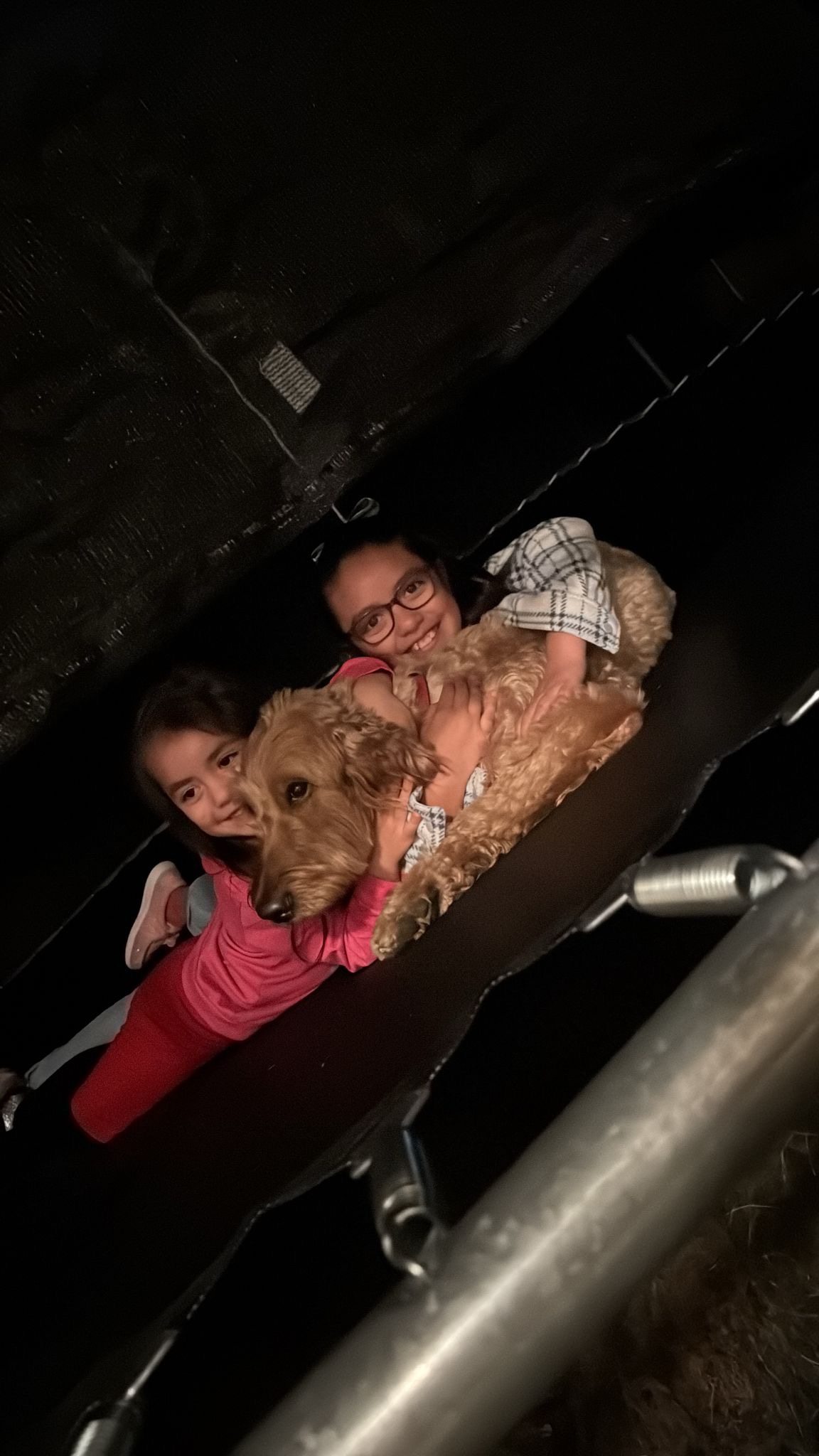 Help Simba Recover from Pneumonia campaign photo, 4 of 4